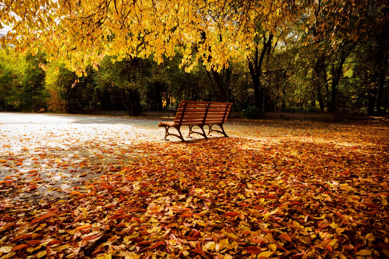 Canon EF 24-70mm F2.8L II USM sample photo. Autumn, chair photography