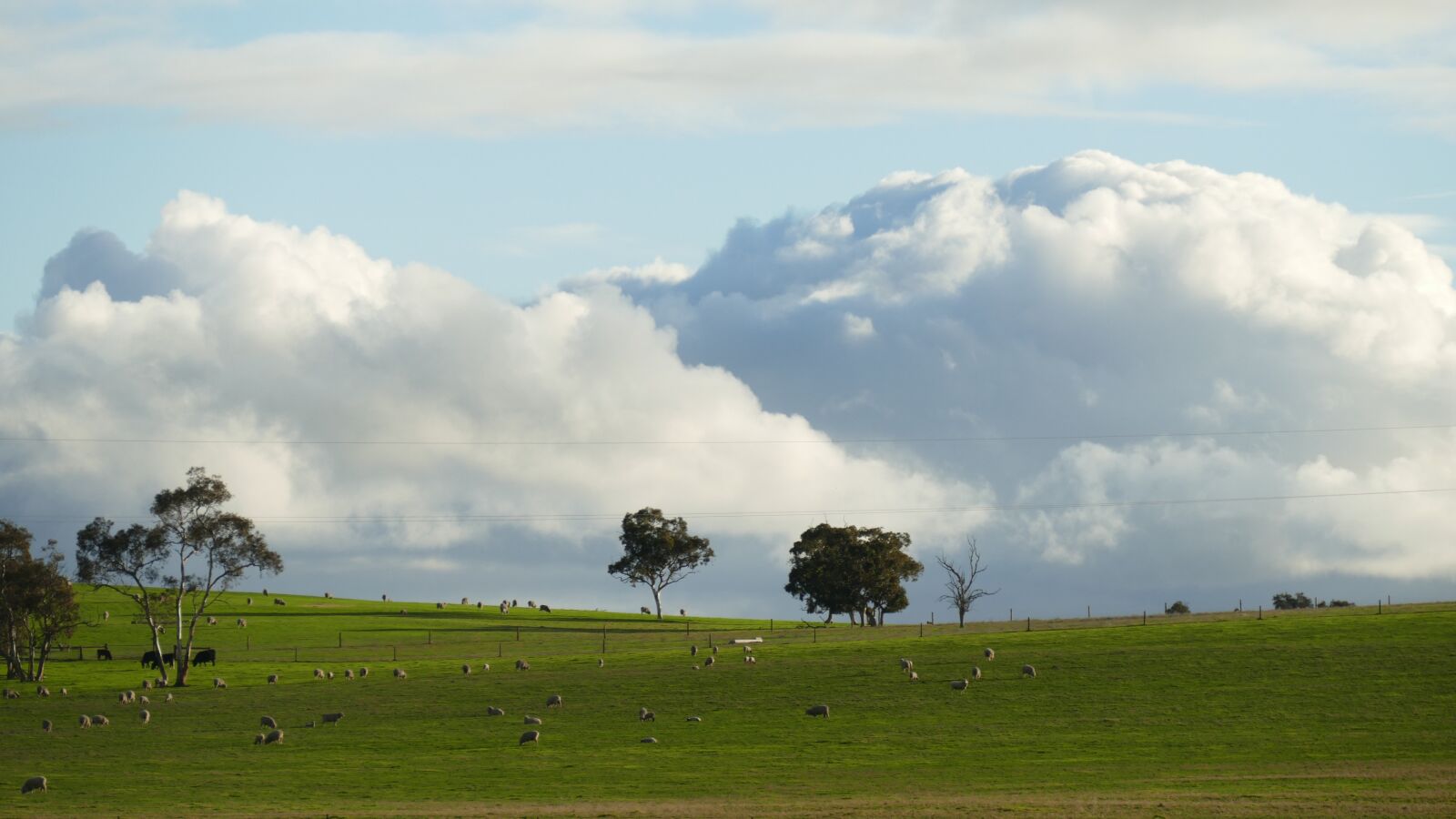 Panasonic Lumix DMC-FZ1000 sample photo. Bulking, clouds, farmland photography