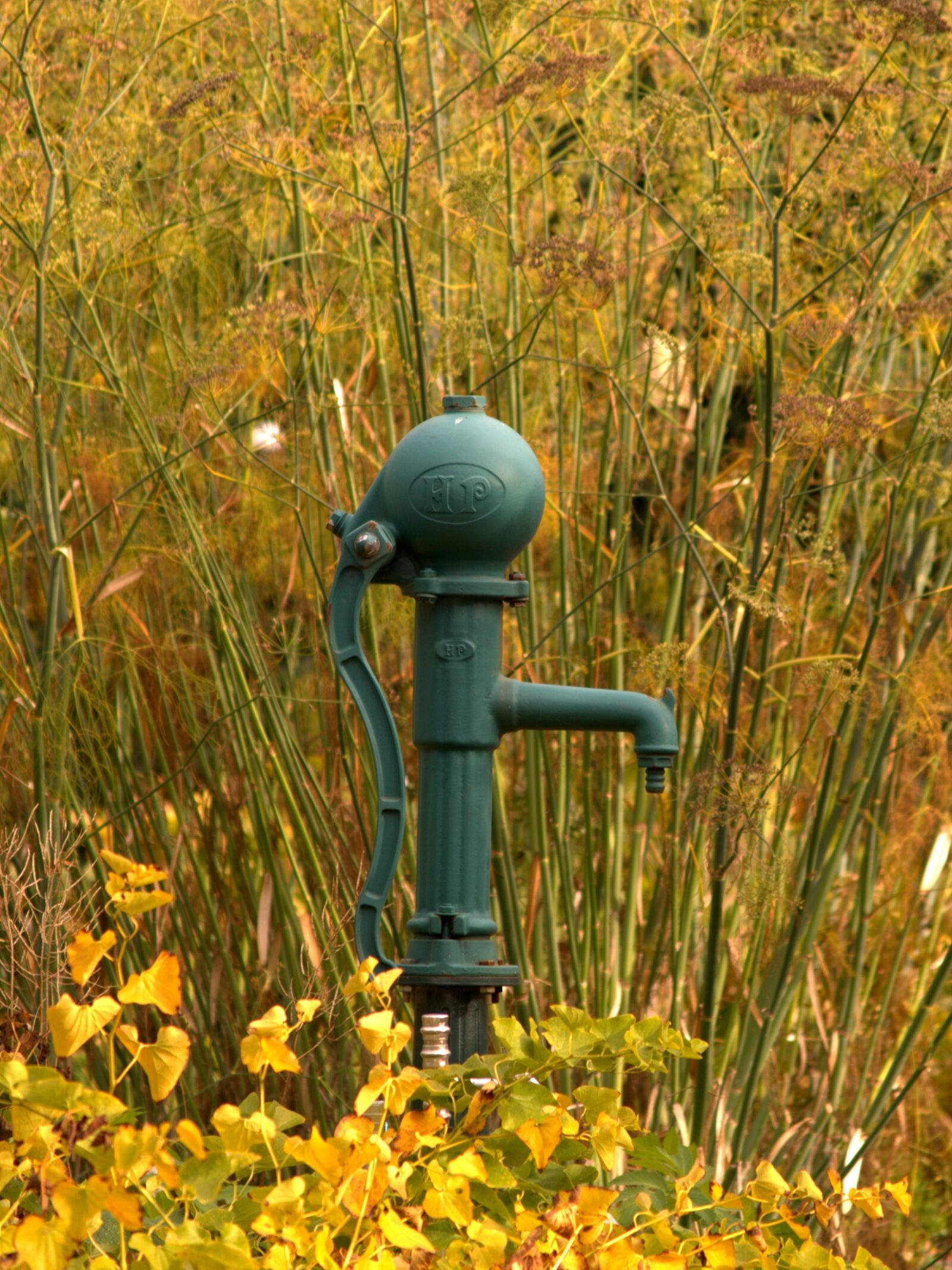 Olympus E-500 (EVOLT E-500) sample photo. Autumn, water, pump photography