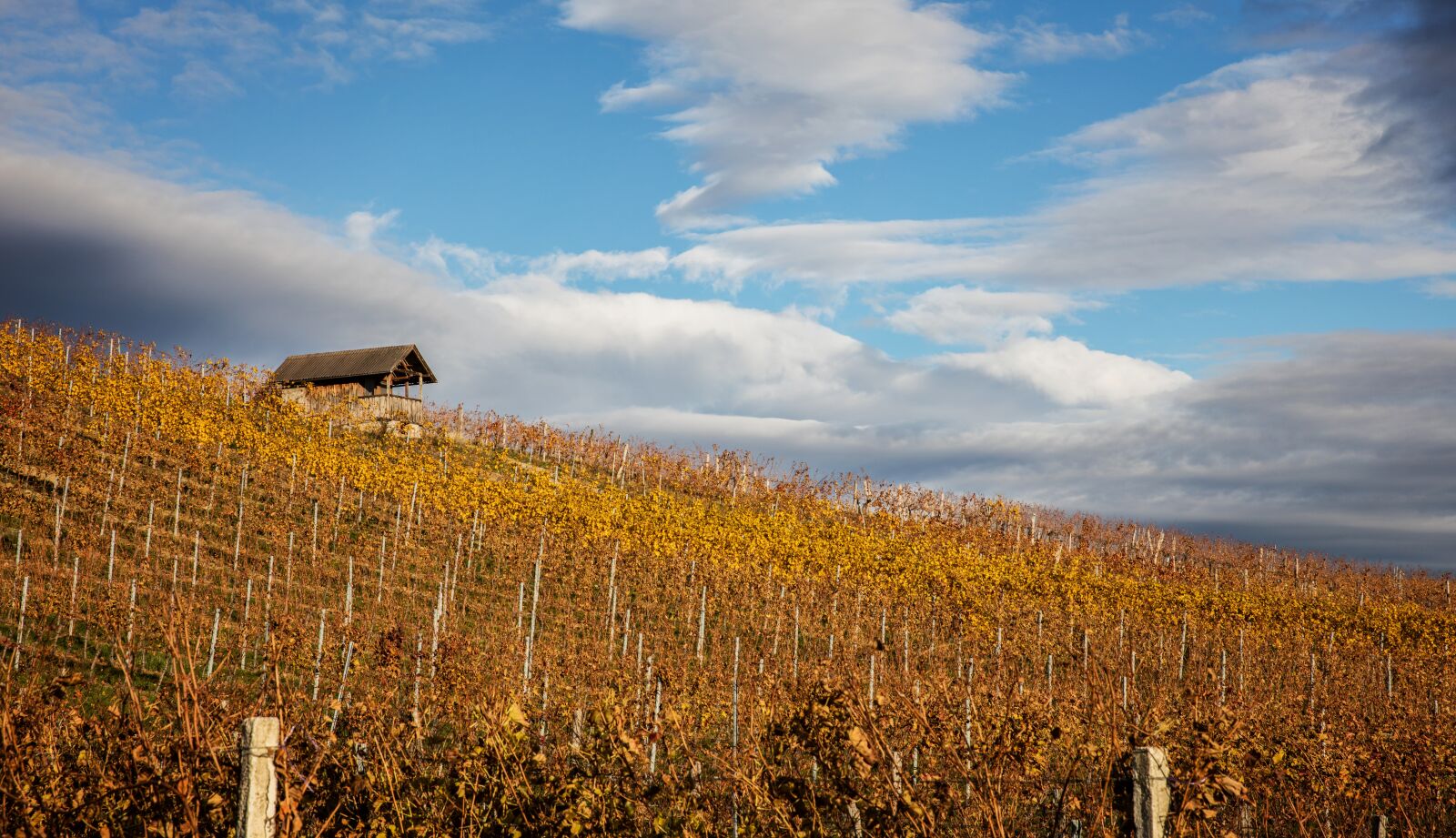 Canon EOS 5DS R sample photo. Autumn, landscape, chapel photography