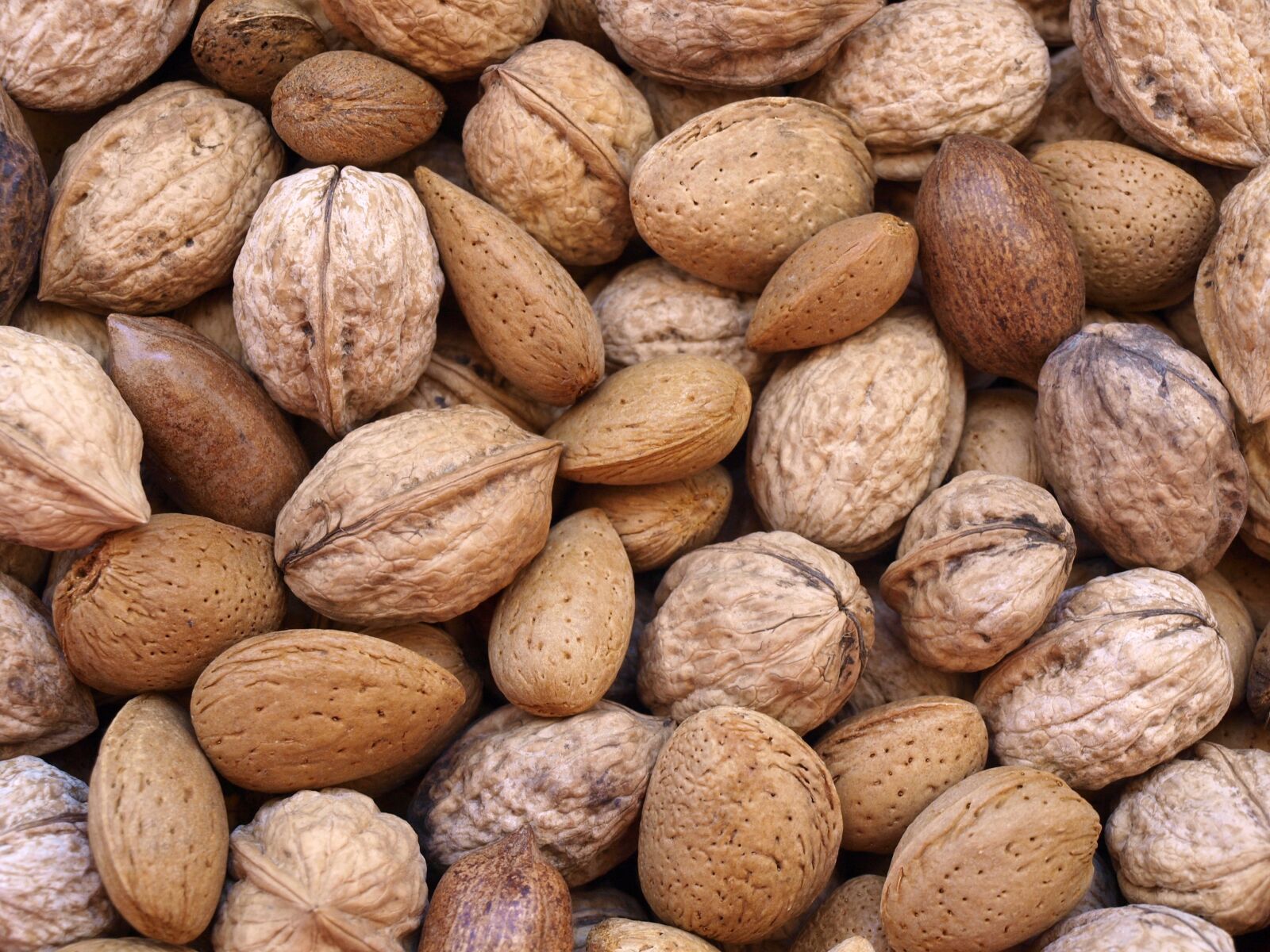Olympus E-420 (EVOLT E-420) sample photo. Dried fruits, nuts, almonds photography