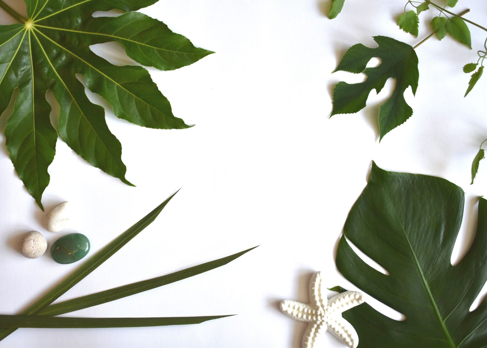 Nikon D3400 sample photo. Tropical, leaves, green photography