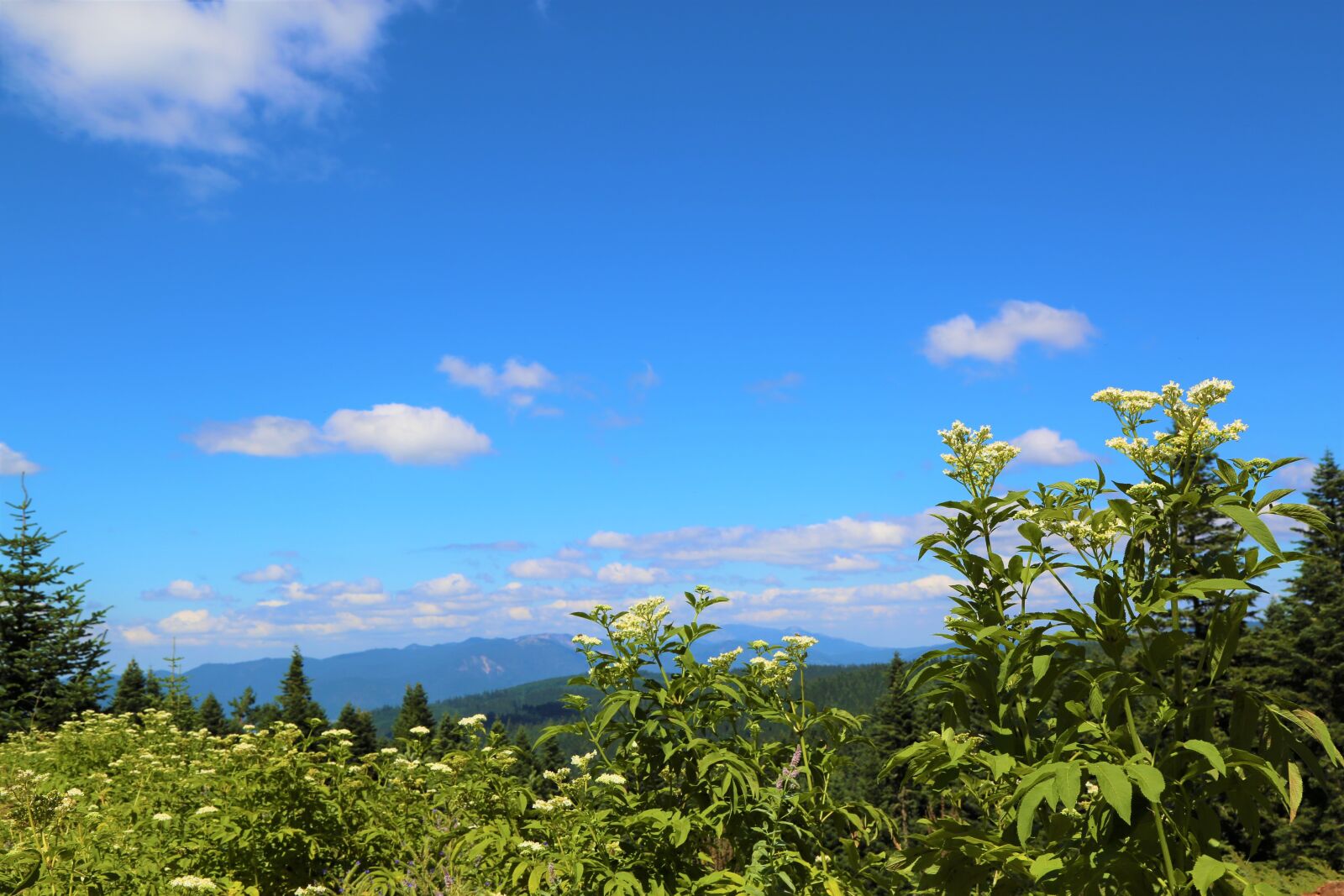 Canon EF 24-105mm F4L IS USM sample photo. Landscape, nature, sky photography