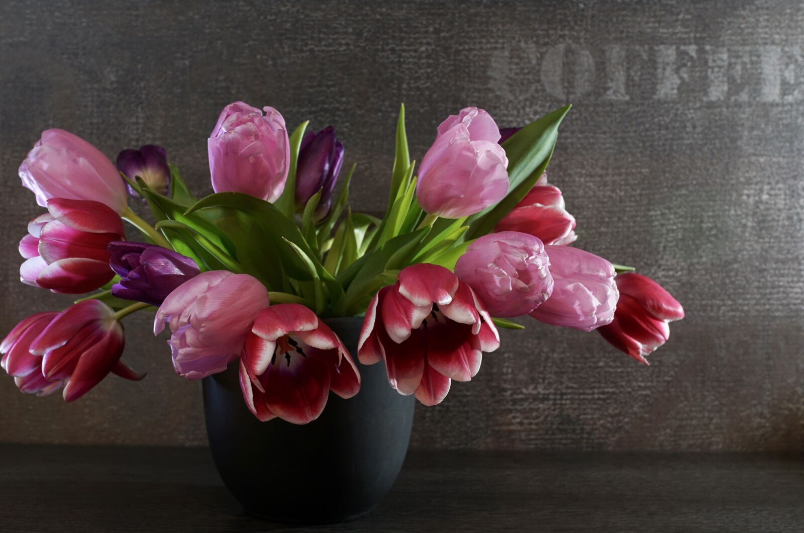 Sony ILCA-77M2 + 35mm F1.4 sample photo. Flower, plant, tulip photography