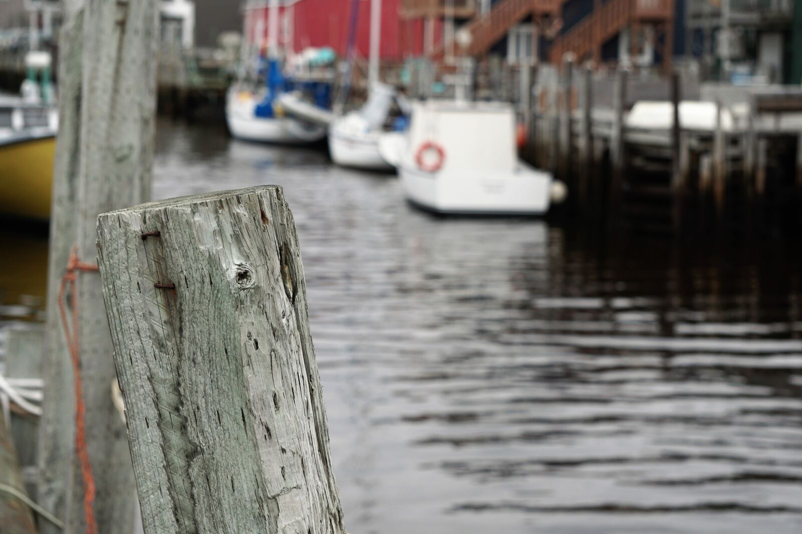 Sony E 55-210mm F4.5-6.3 OSS sample photo. Boats, nova scotia, canada photography