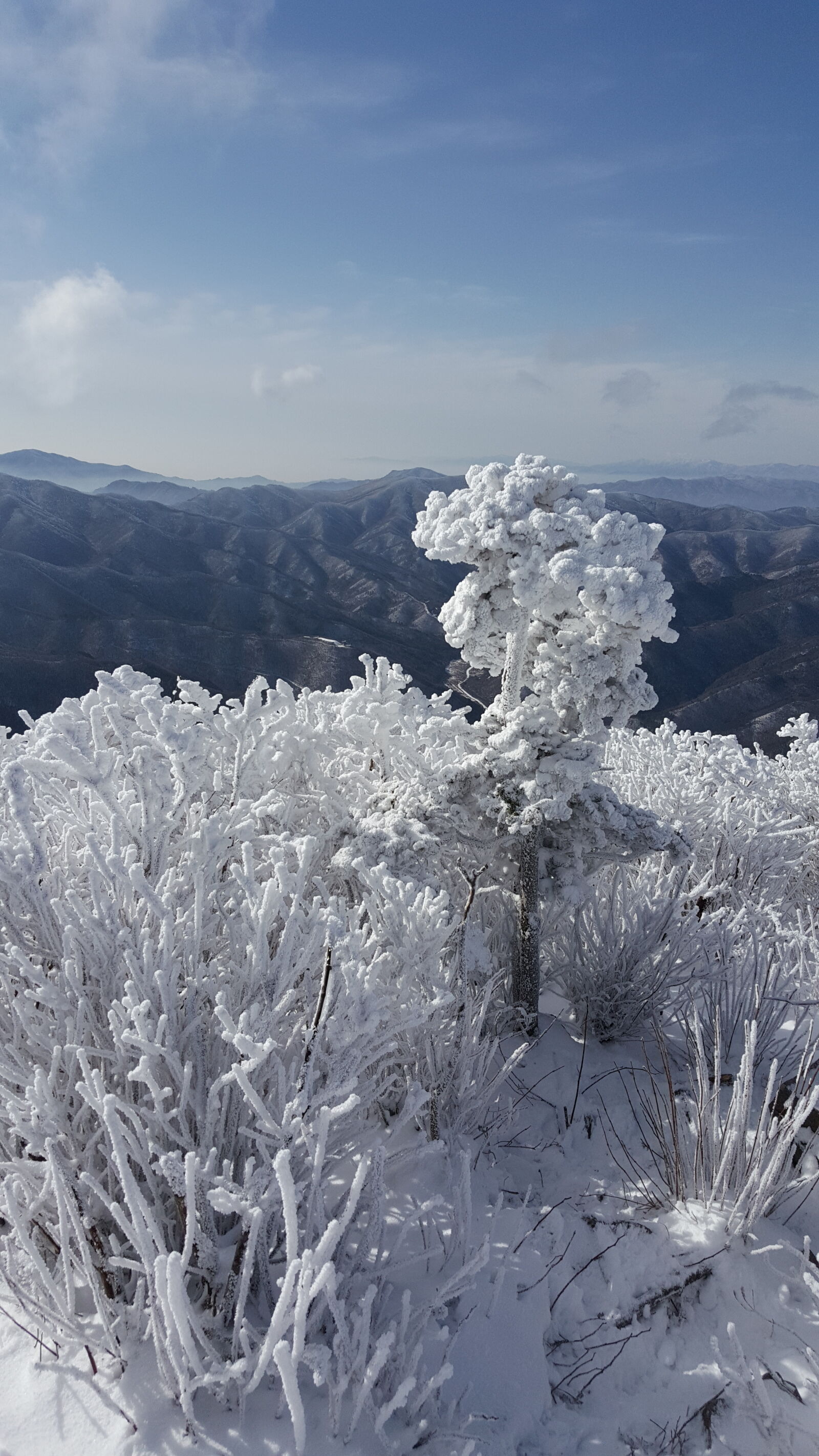 Samsung Galaxy Note5 sample photo. Korea, mountain, taebaeksan, winter photography