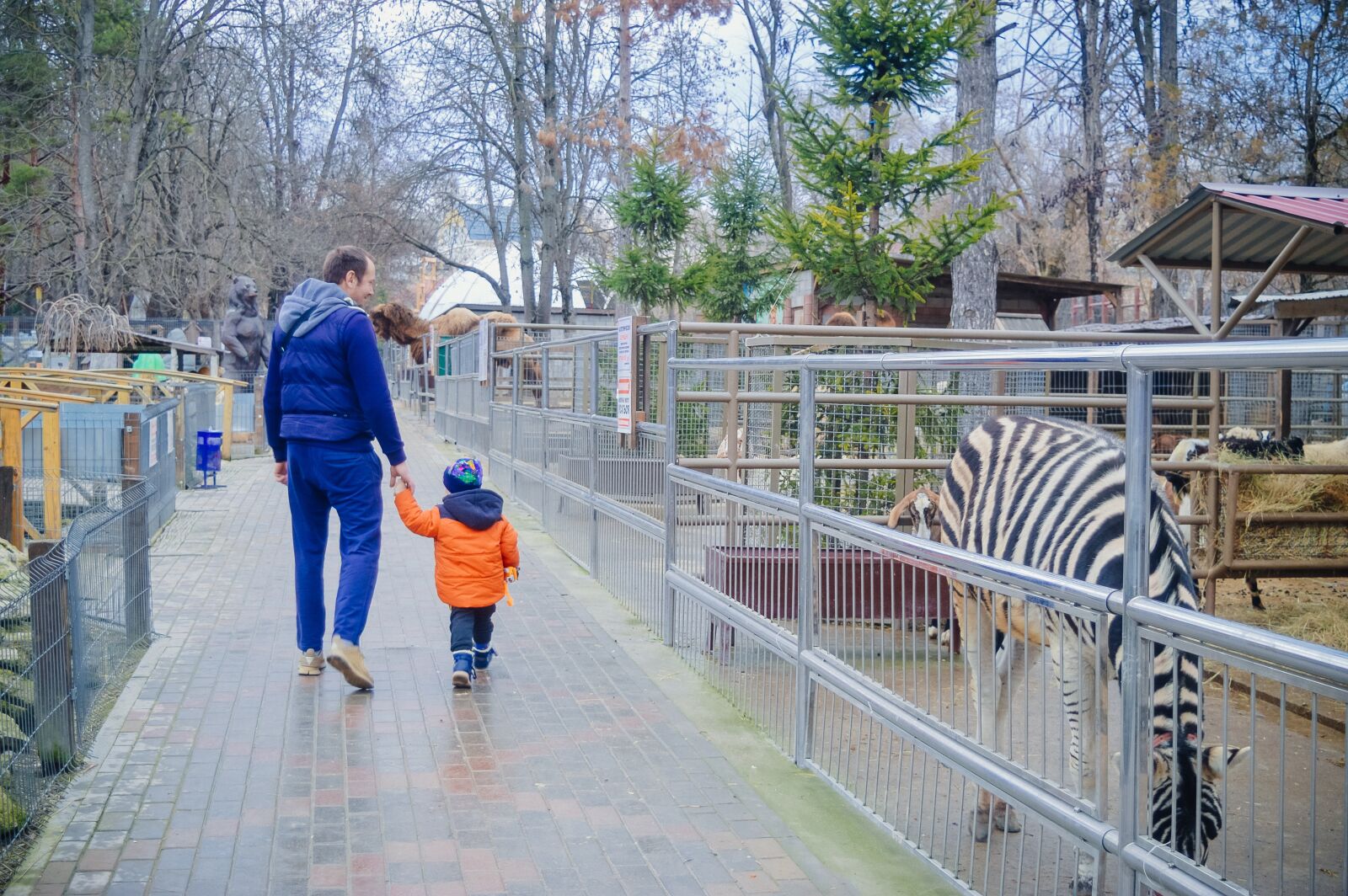 Nikon D3200 sample photo. Father, son, zoo photography
