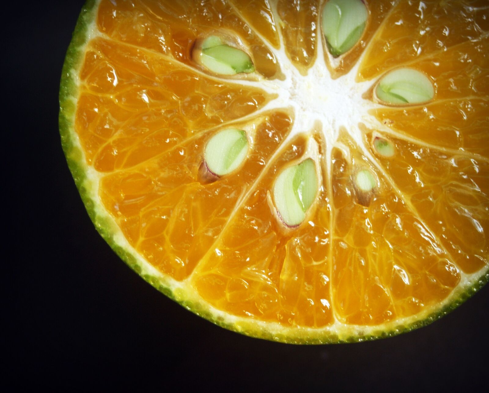 Olympus E-300 (EVOLT E-300) sample photo. Orange, fruit, slice photography
