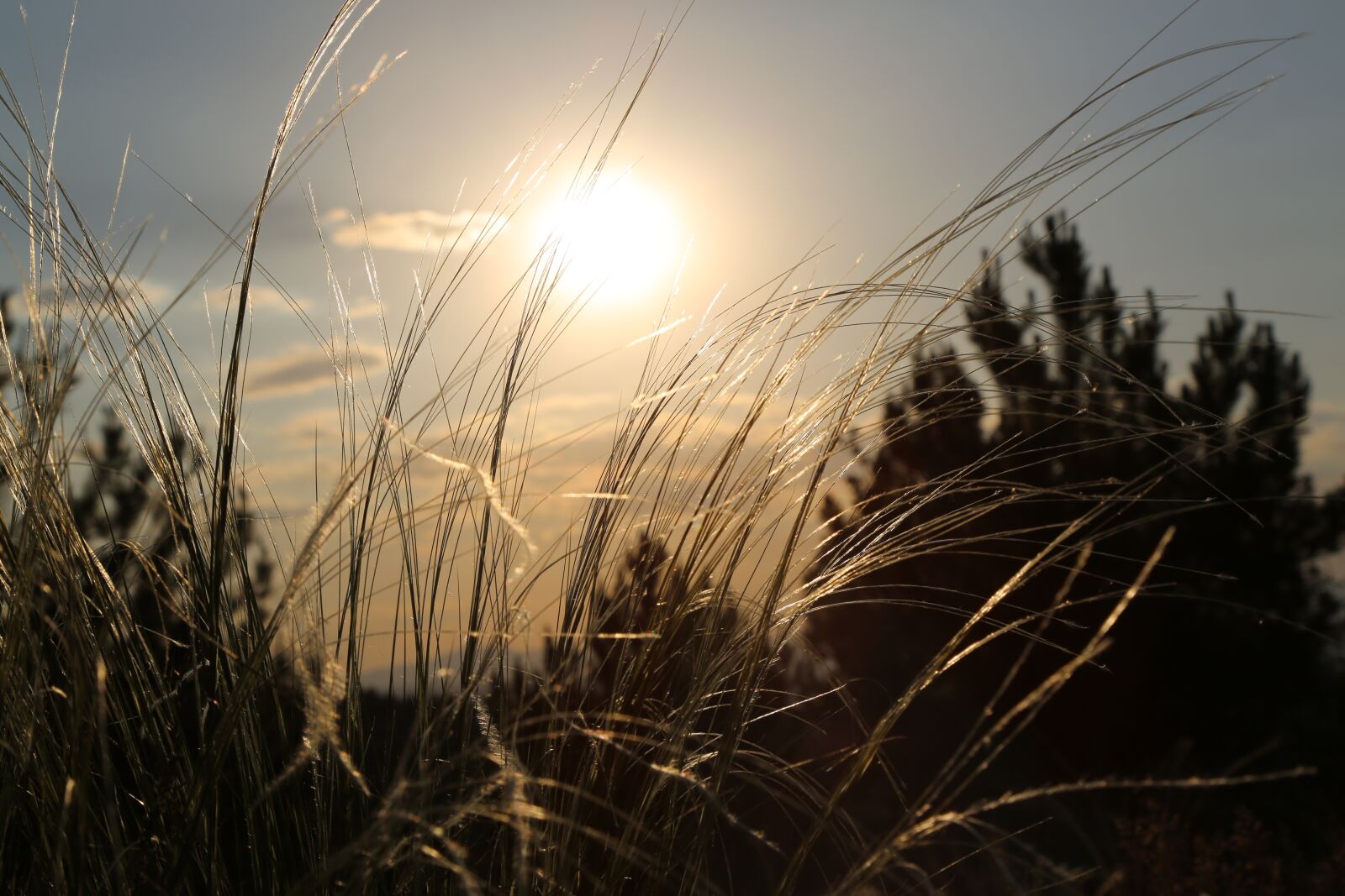 Canon EF 24-105mm F4L IS USM sample photo. Sunset, solar, nature photography