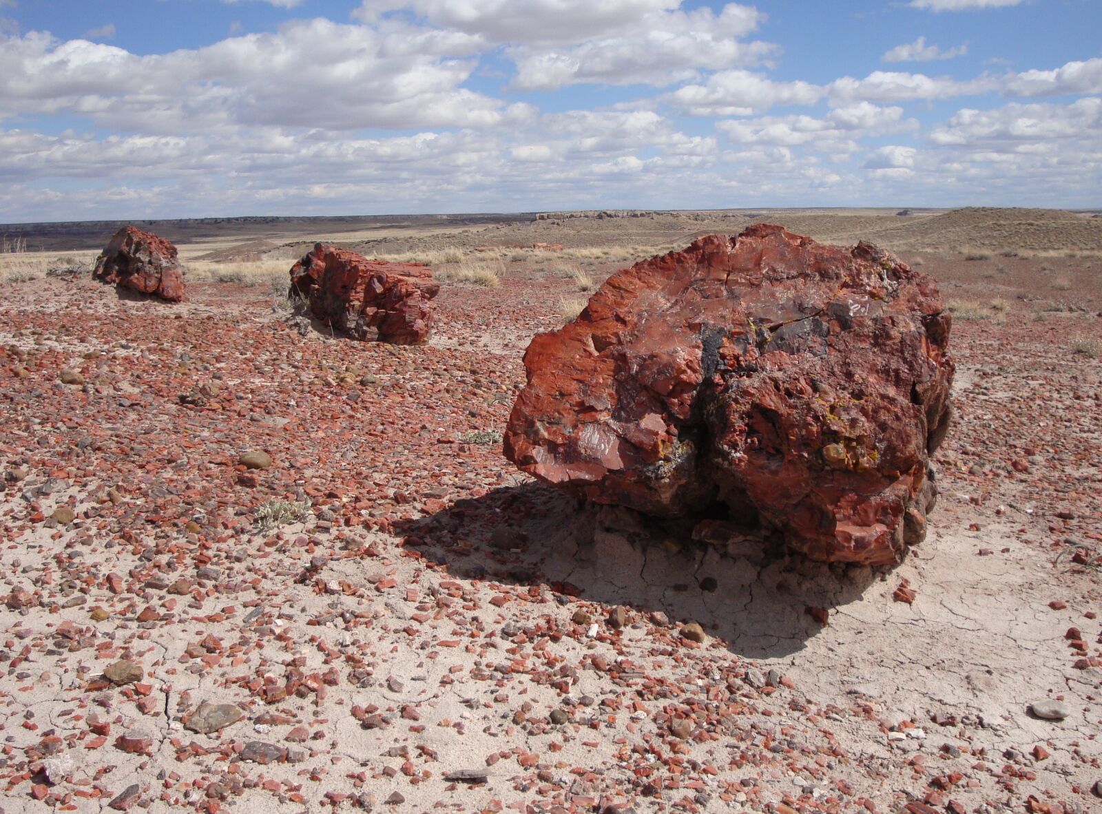 Sony Cyber-shot DSC-W150 sample photo. Petrified forest national park photography