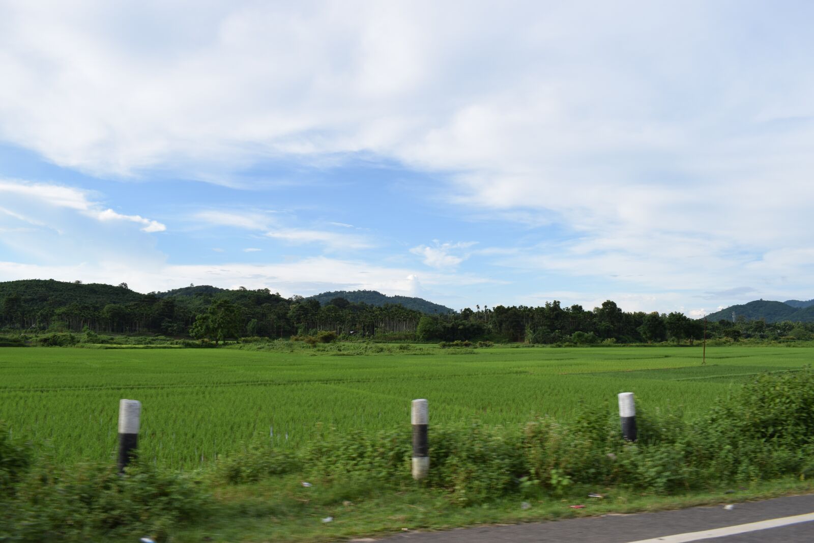 Nikon D5300 sample photo. Paddyfield, garohills, roadside photography