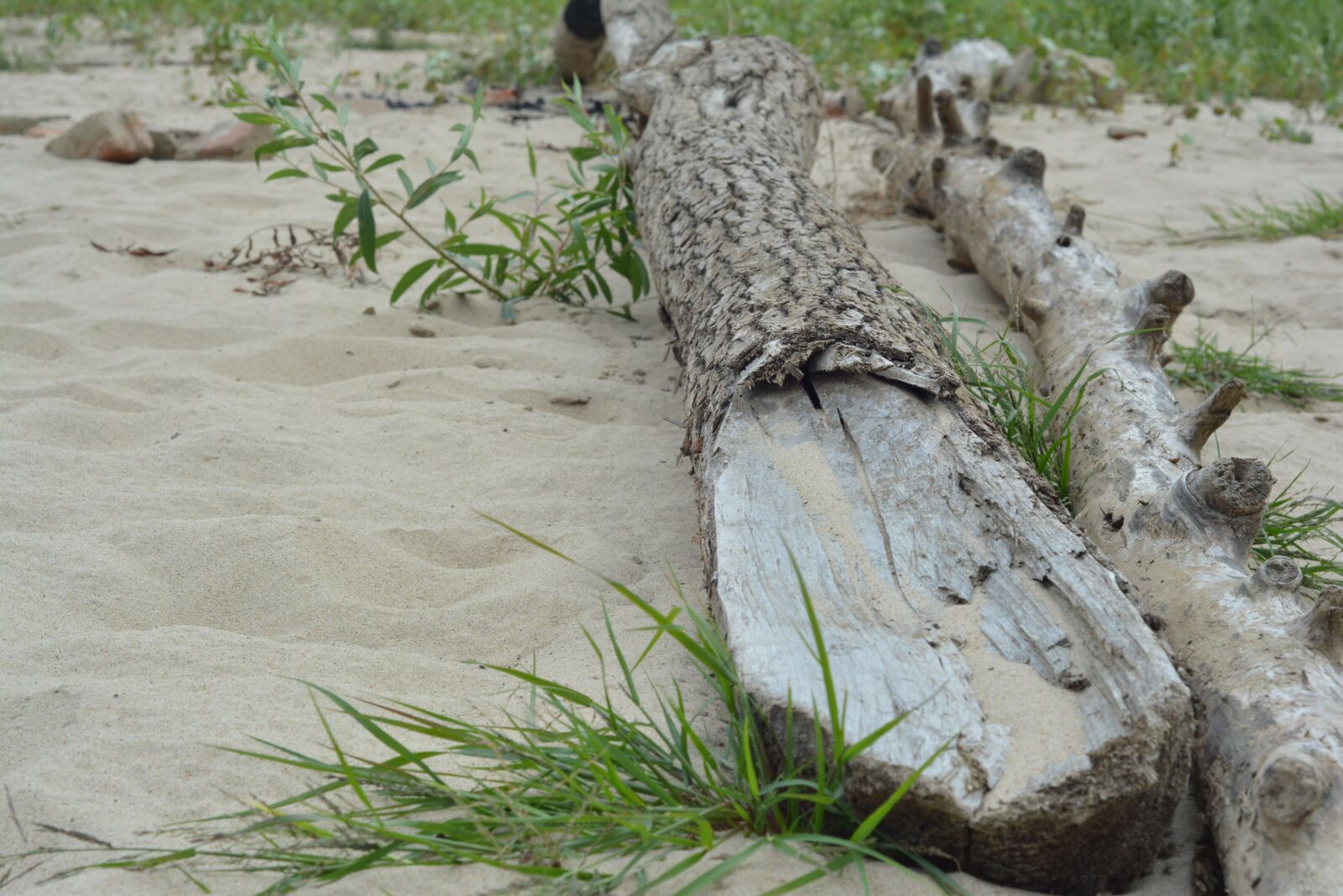 Nikon D5200 sample photo. River, beach, water photography
