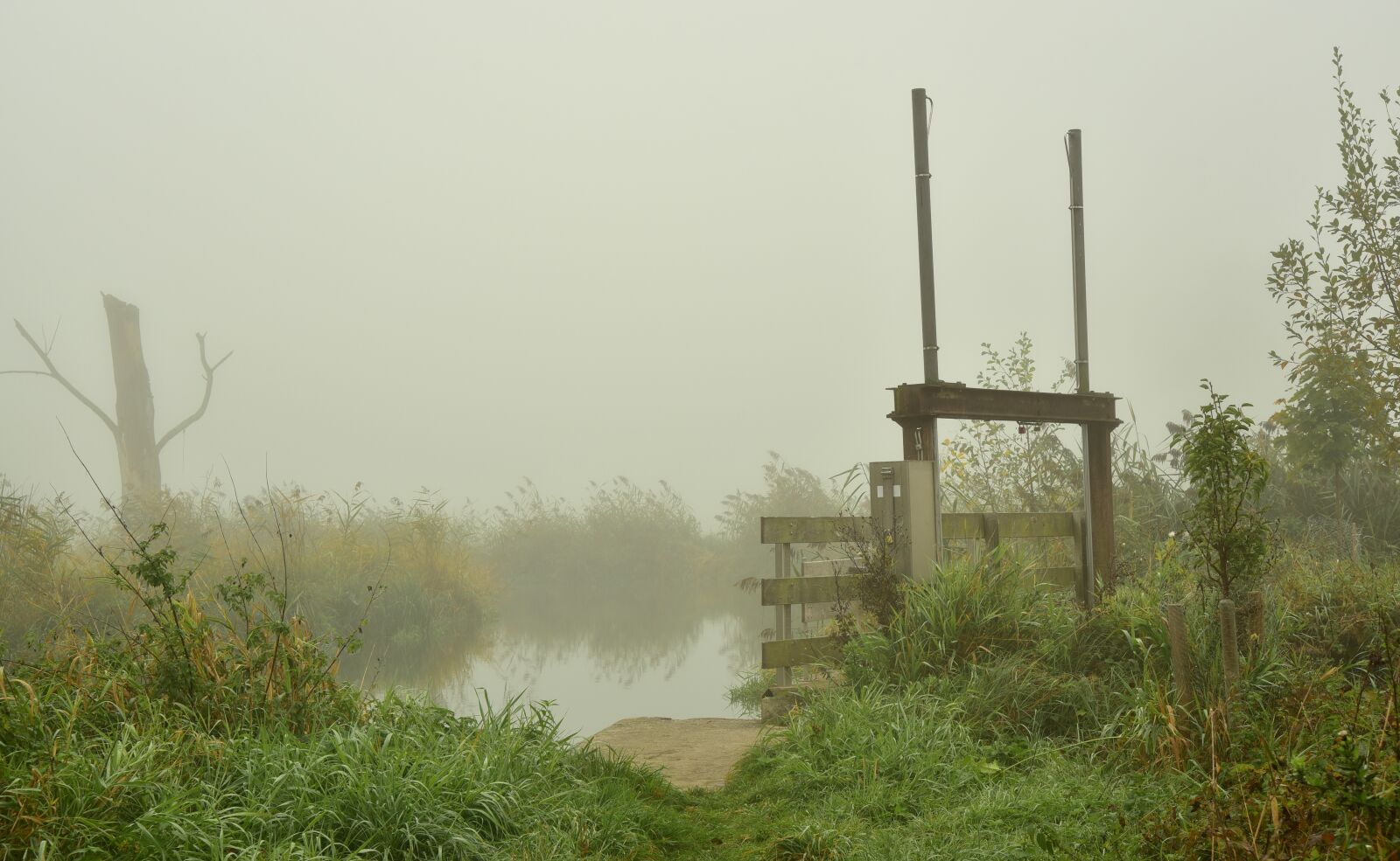 Nikon D750 sample photo. Lock, fog, water photography
