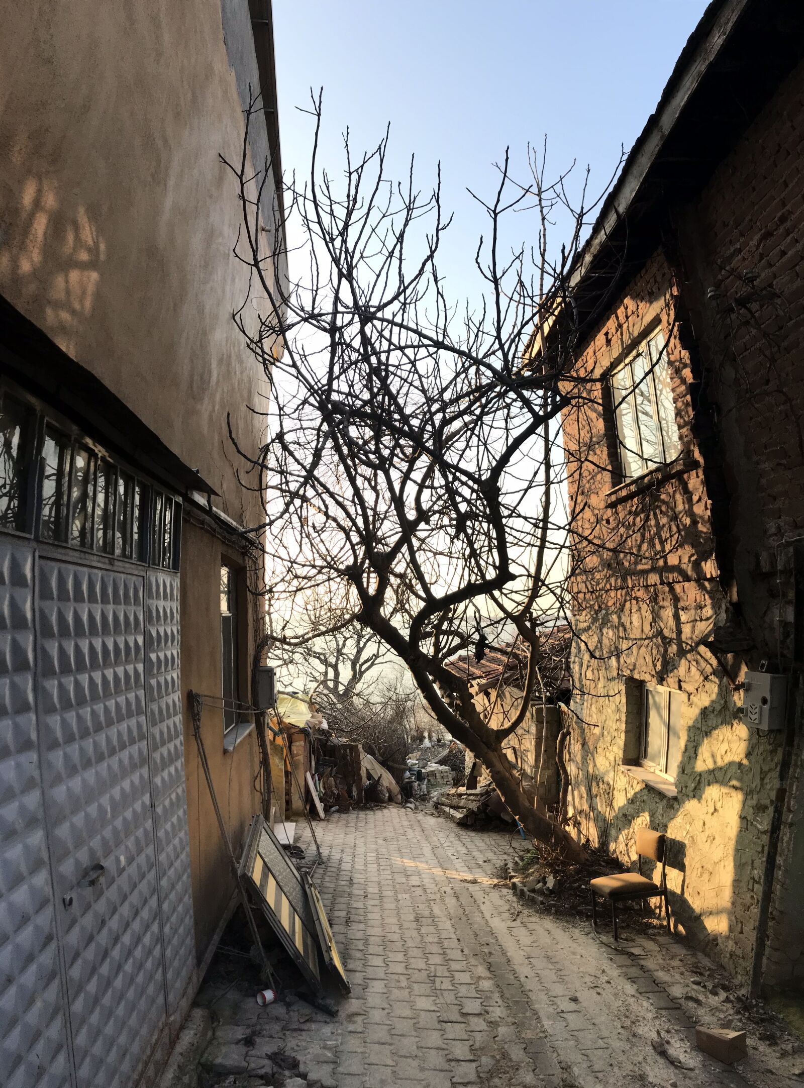 iPhone 7 back camera 3.99mm f/1.8 sample photo. Building, tree, buildings photography