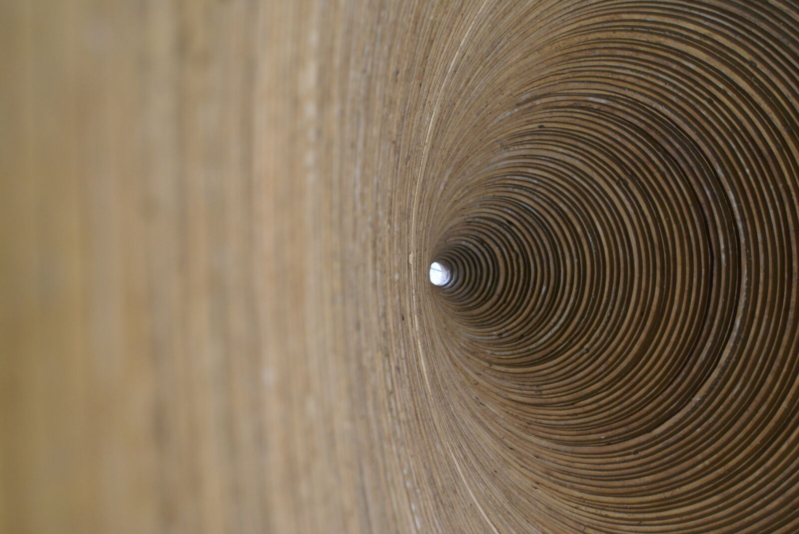 Sony Alpha DSLR-A100 sample photo. Abstract, brown, carved, wood photography