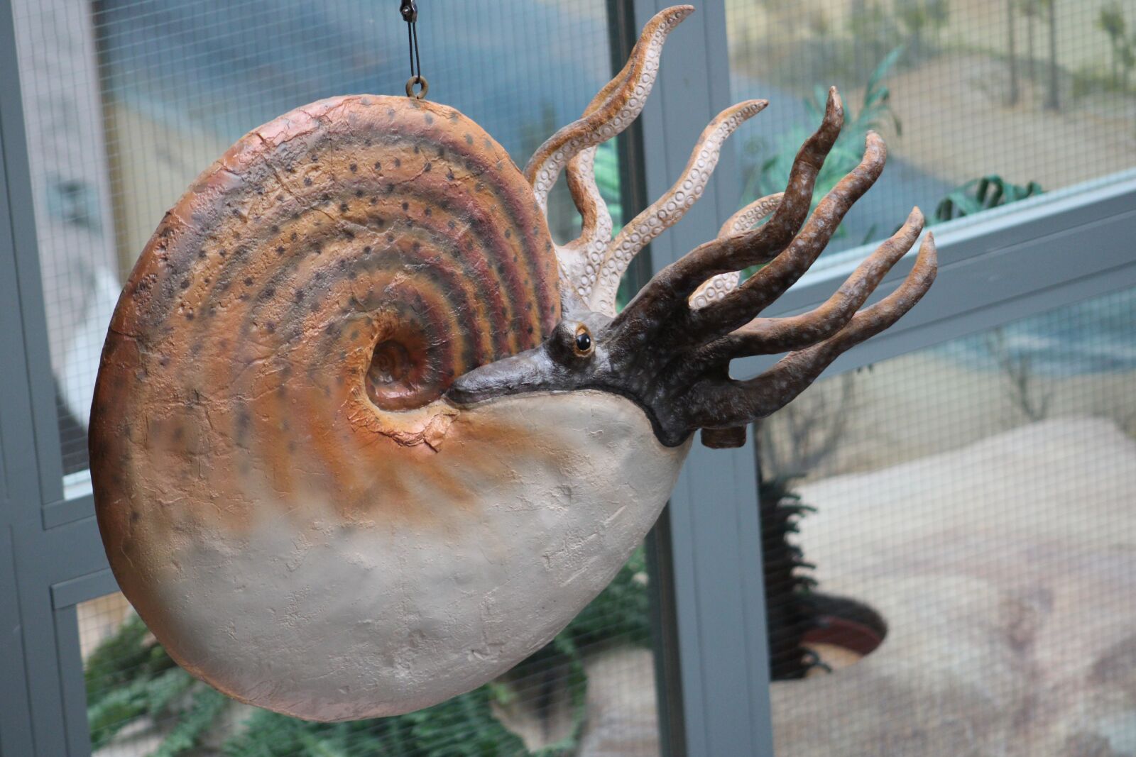 Canon EOS 2000D (EOS Rebel T7 / EOS Kiss X90 / EOS 1500D) sample photo. Cupid, snail, dinosaur photography