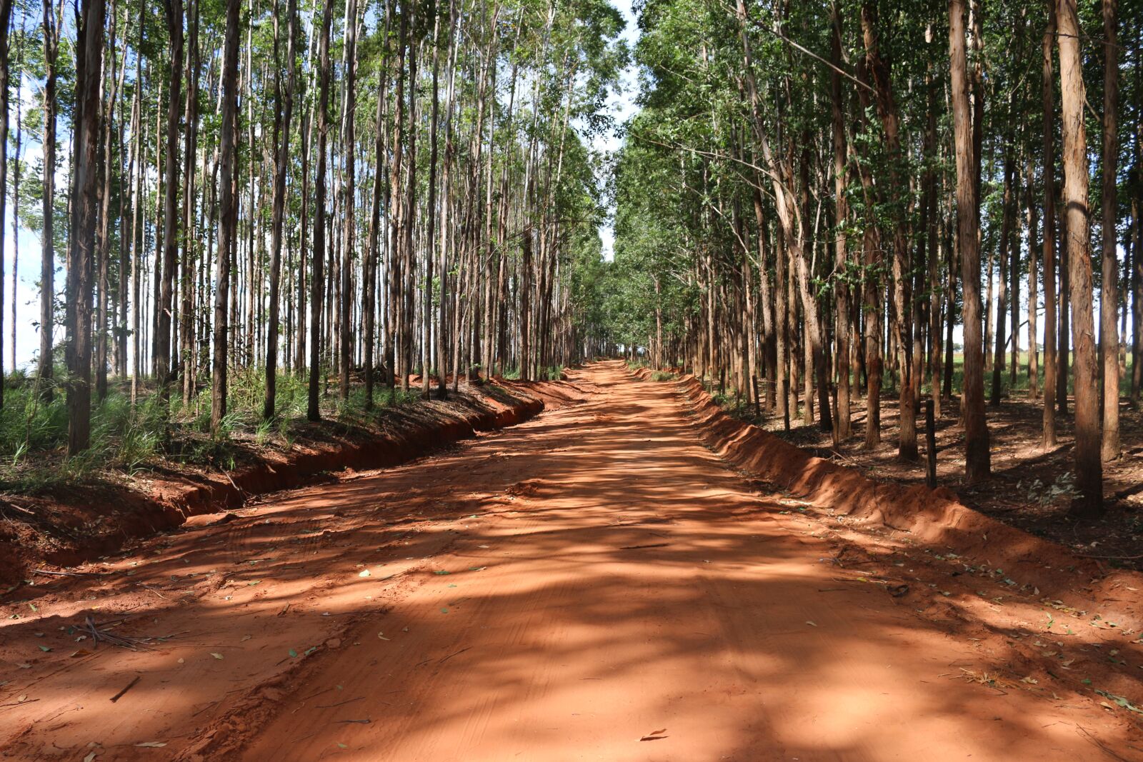 Canon EOS 70D + Canon EF-S 18-55mm F3.5-5.6 IS STM sample photo. Road, earth, landscape photography