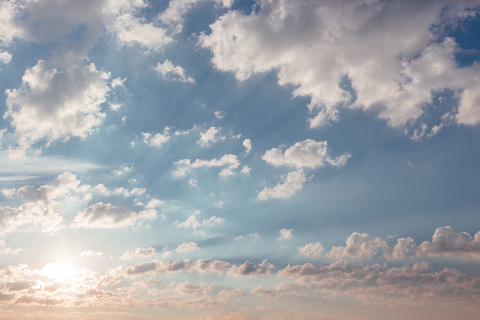 Canon EF 40mm F2.8 STM sample photo. Sunlight, sunshine, sunrise photography