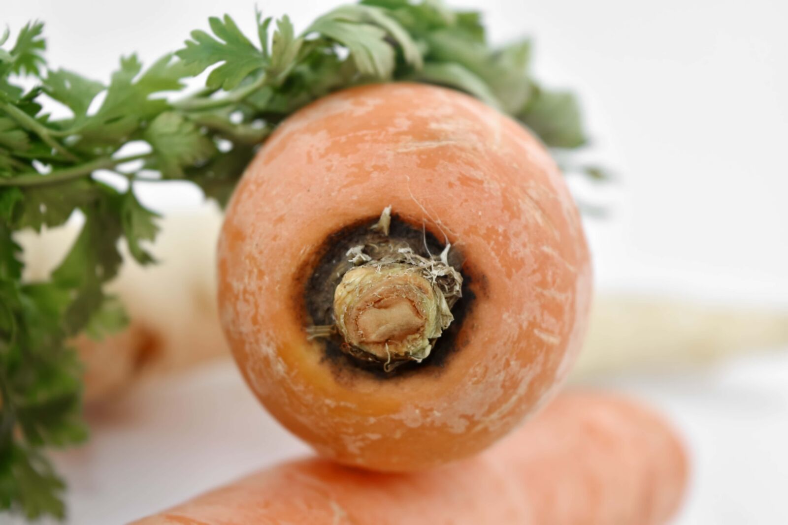 Nikon D5500 sample photo. Health, vegetable, food, carrot photography