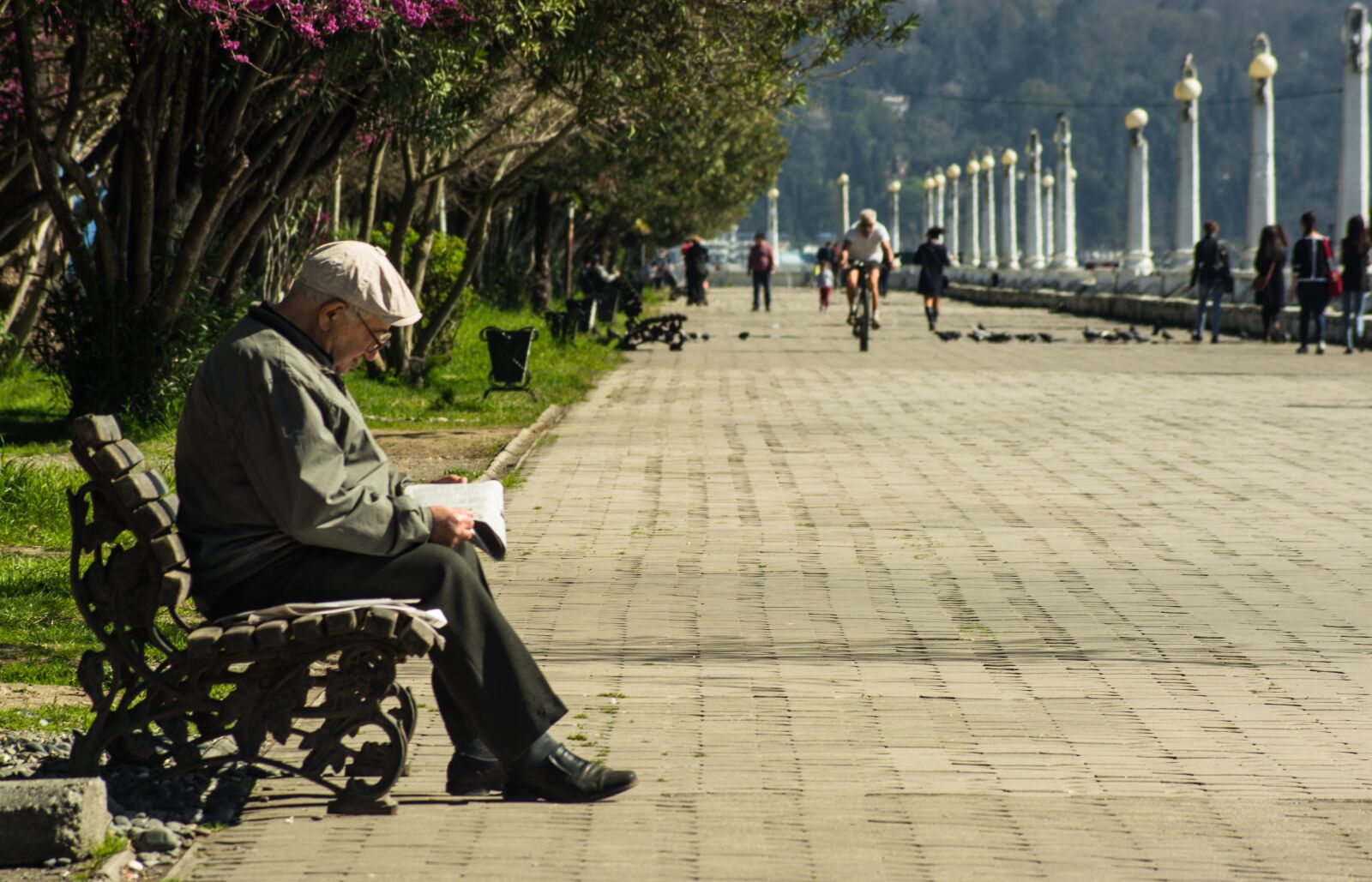 Nikon D5200 sample photo. Man, bench, the old photography