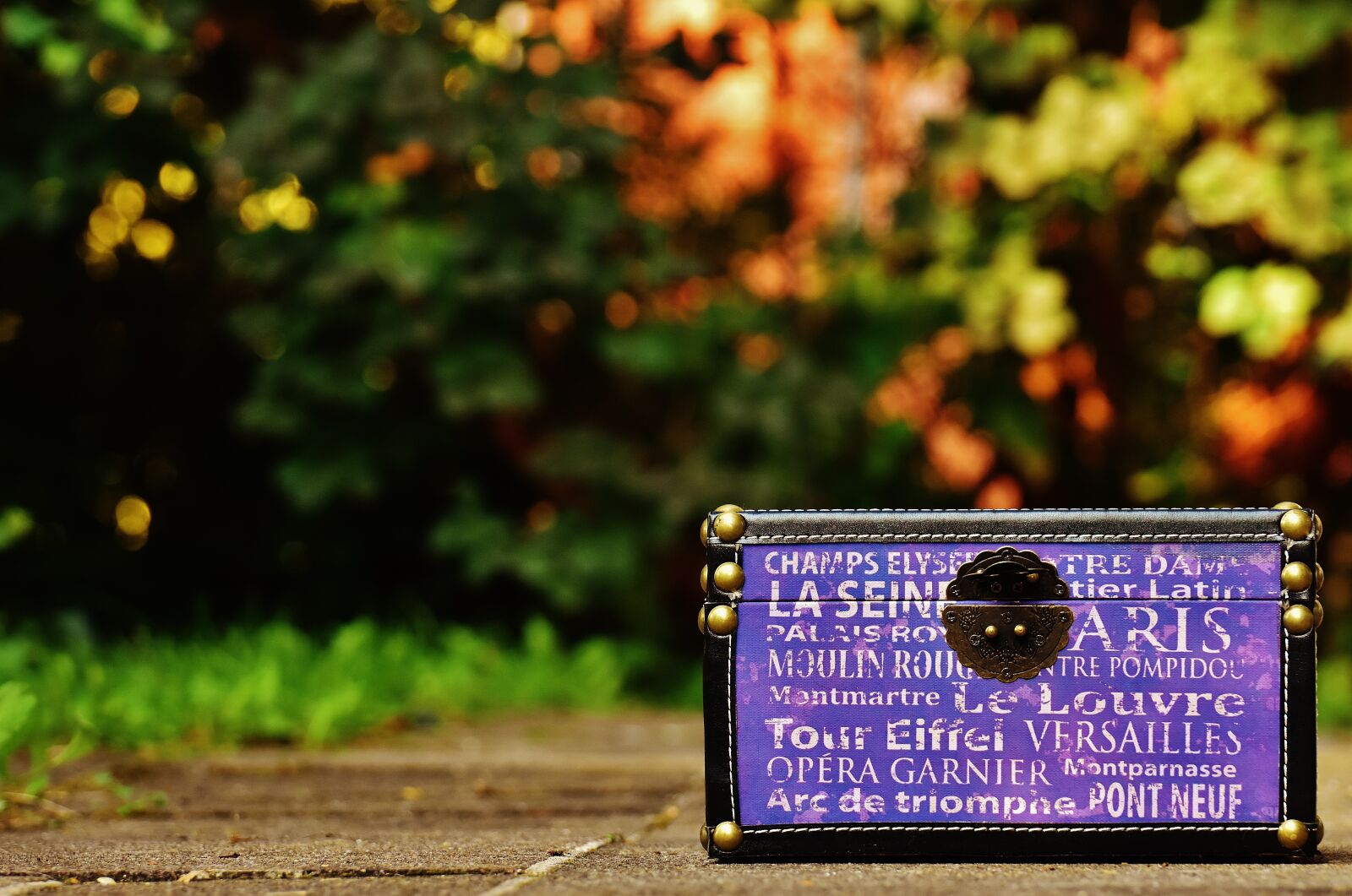 Nikon D7200 sample photo. Chest, box, closure photography