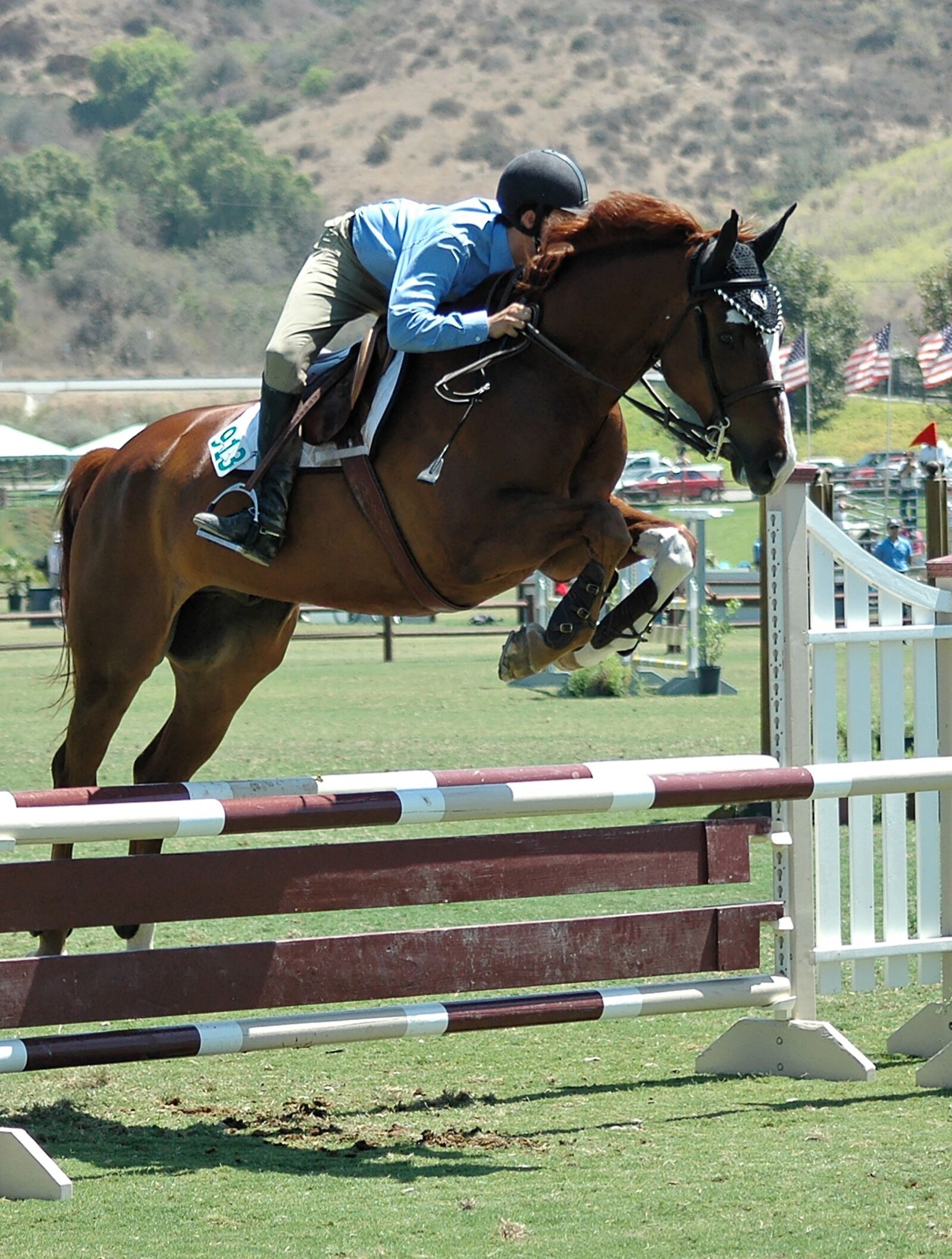 Nikon D70s sample photo. Horse, horses, horseback photography