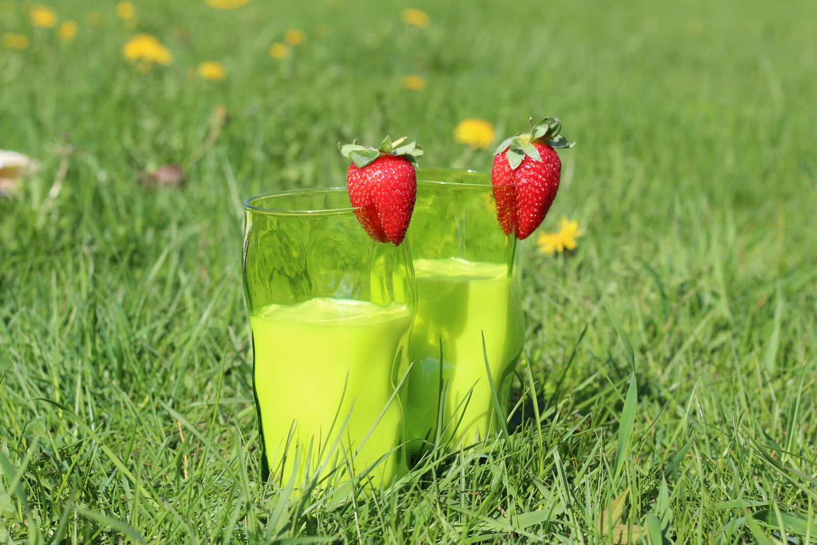 Canon EOS 1300D (EOS Rebel T6 / EOS Kiss X80) sample photo. Strawberry, milk, grass photography