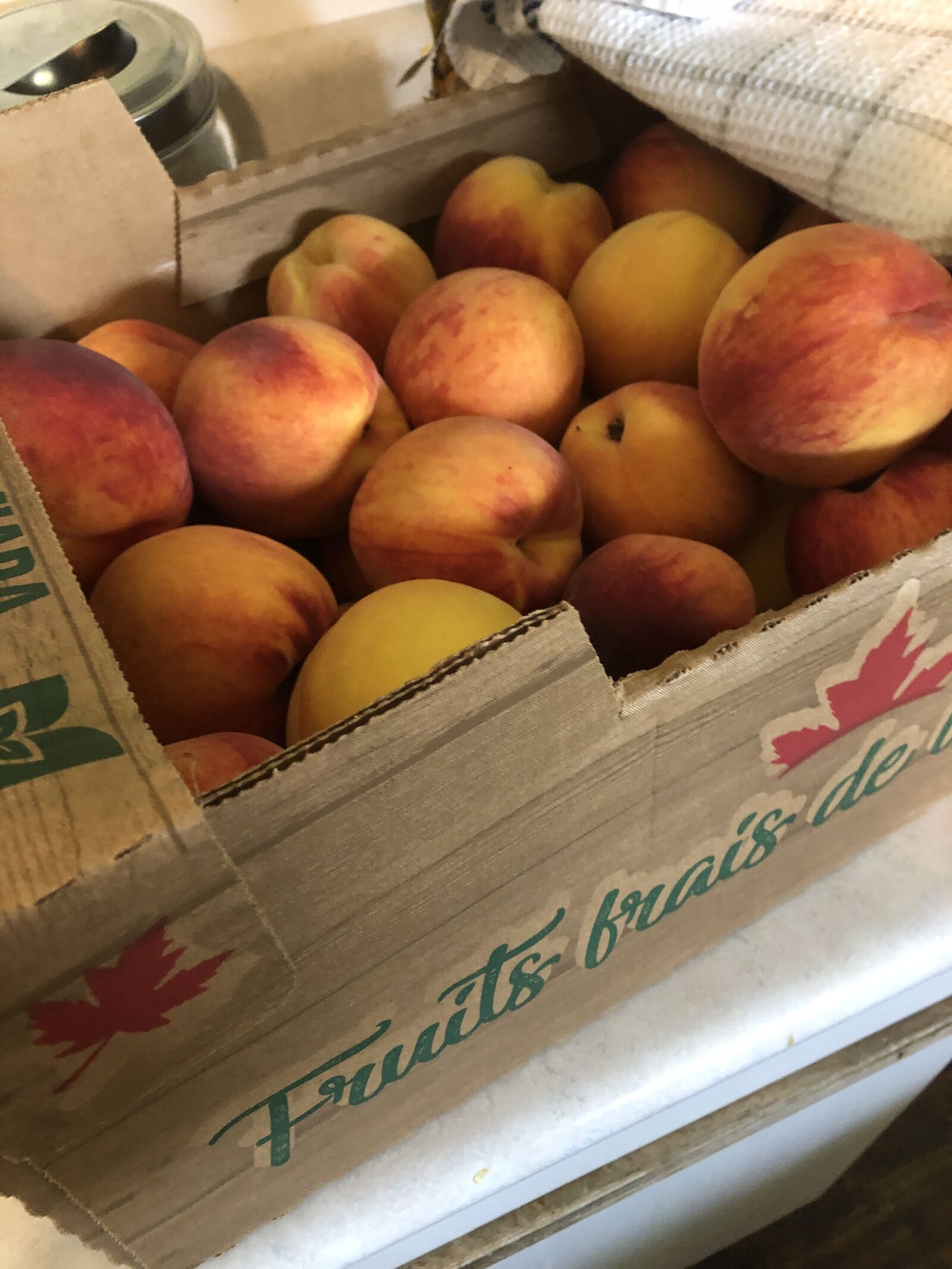 iPhone 8 back camera 3.99mm f/1.8 sample photo. Peaches, canning, delicious photography