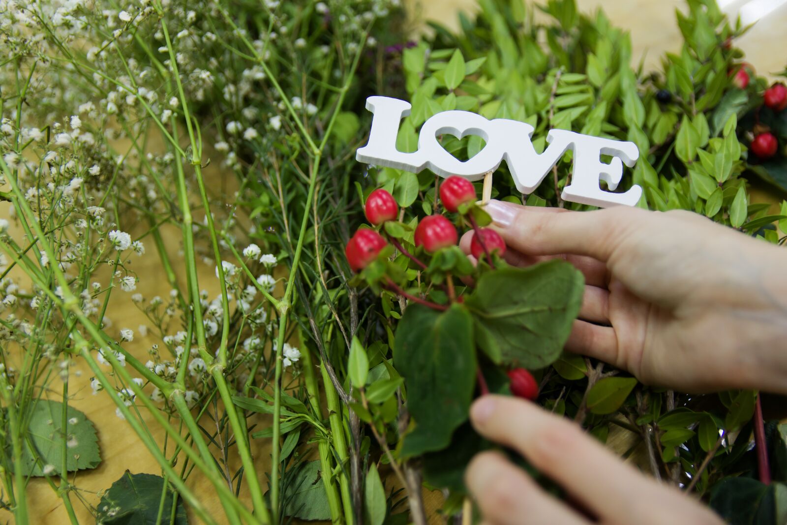 Canon EOS 70D sample photo. Rose, roses, flower photography