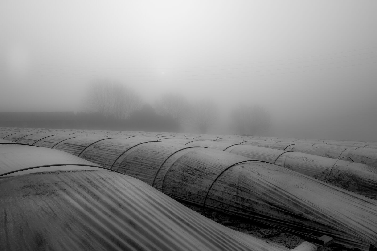 Sony Cyber-shot DSC-RX100 sample photo. Landscape, mist, fog photography