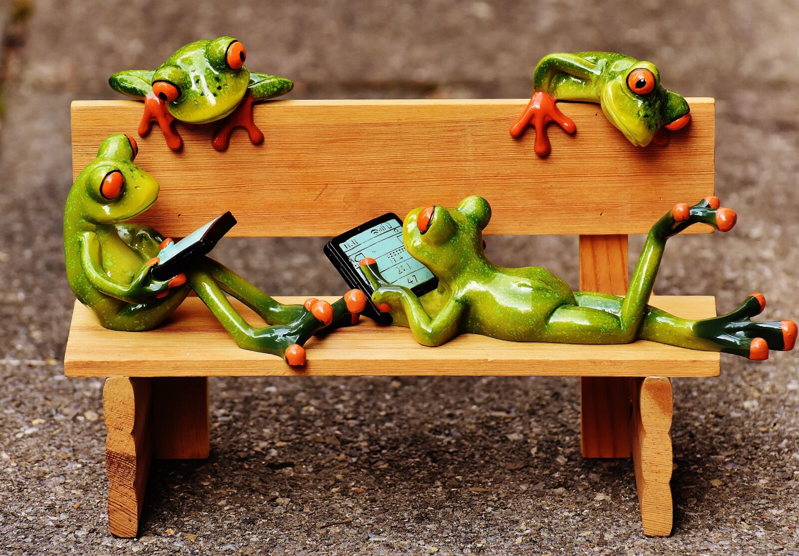 Nikon D7200 sample photo. Frogs, computer, bank photography