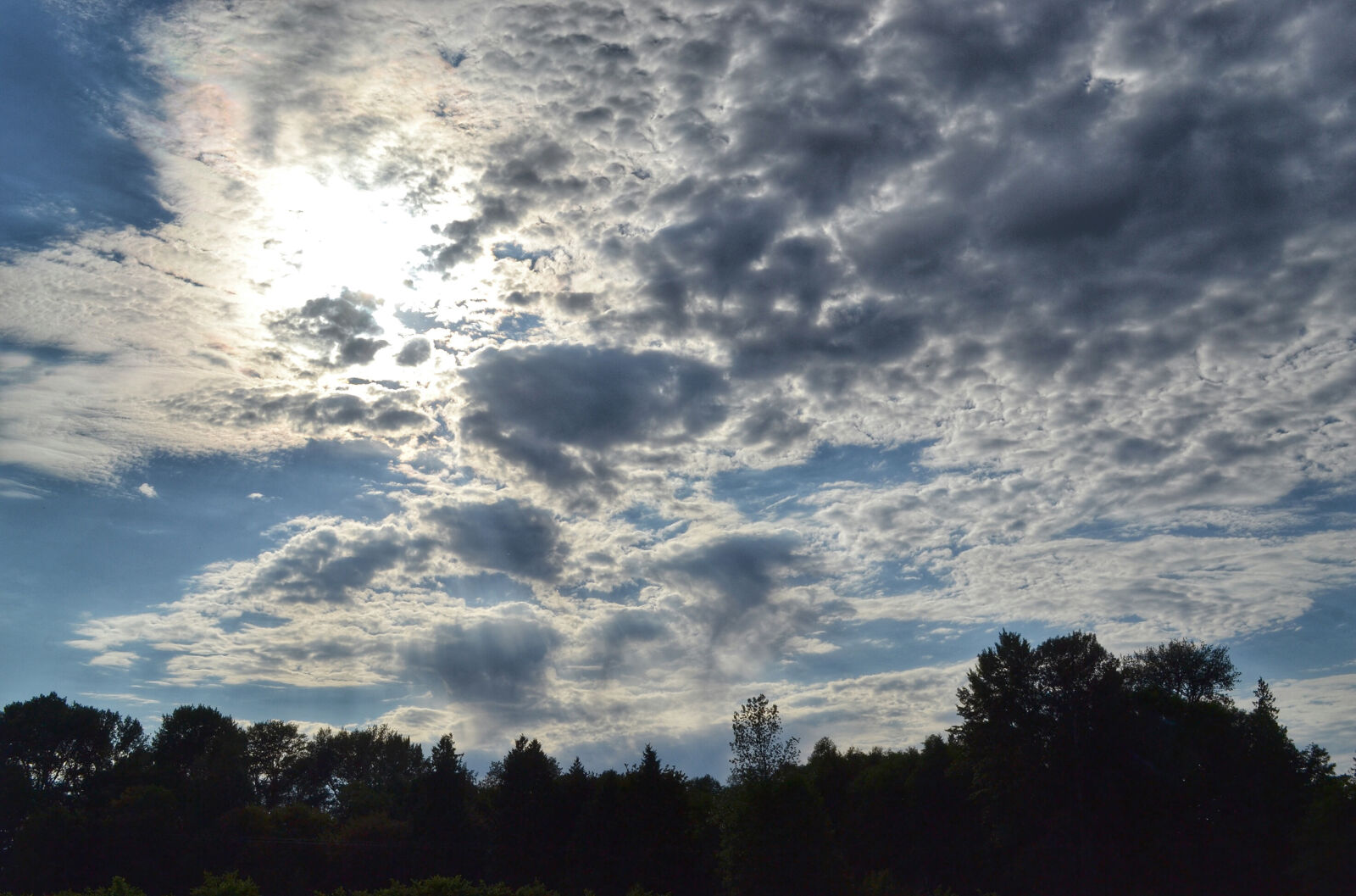 Nikon D3100 sample photo