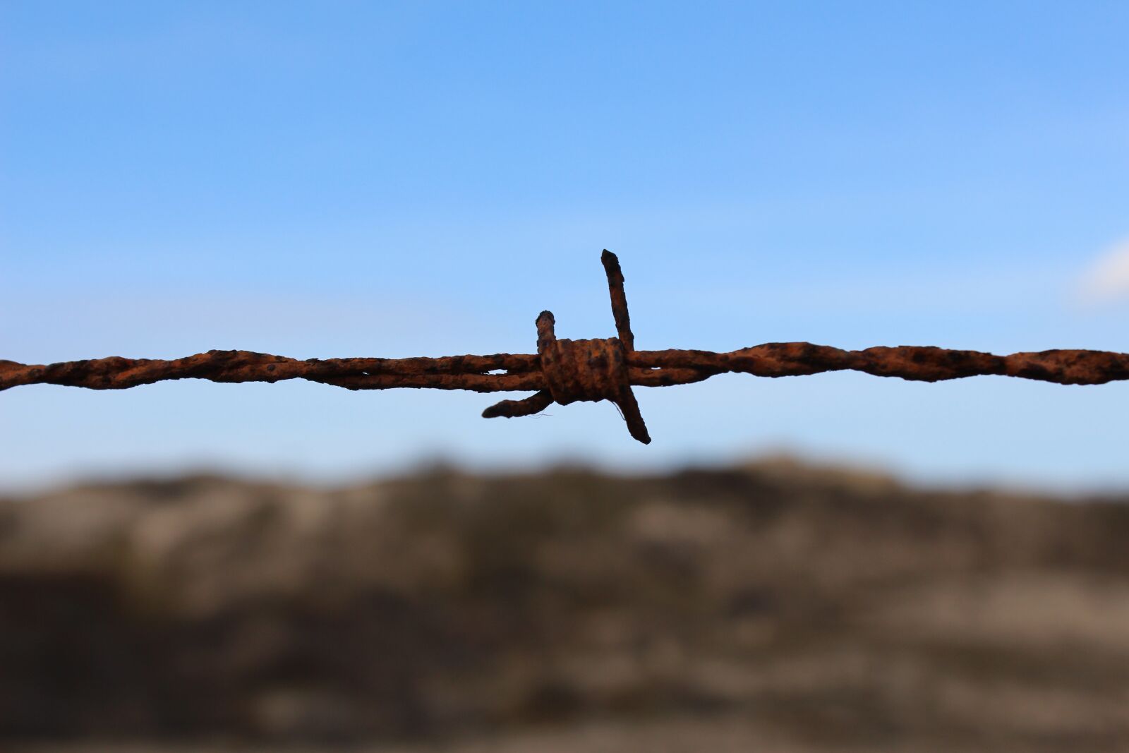 Canon EOS 650D (EOS Rebel T4i / EOS Kiss X6i) sample photo. Barbed wire, wire, sky photography