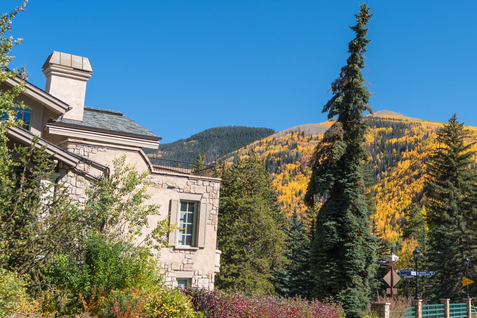Sony a7R II + Sony FE 24-240mm F3.5-6.3 OSS sample photo. Vail, colorado, foliage photography