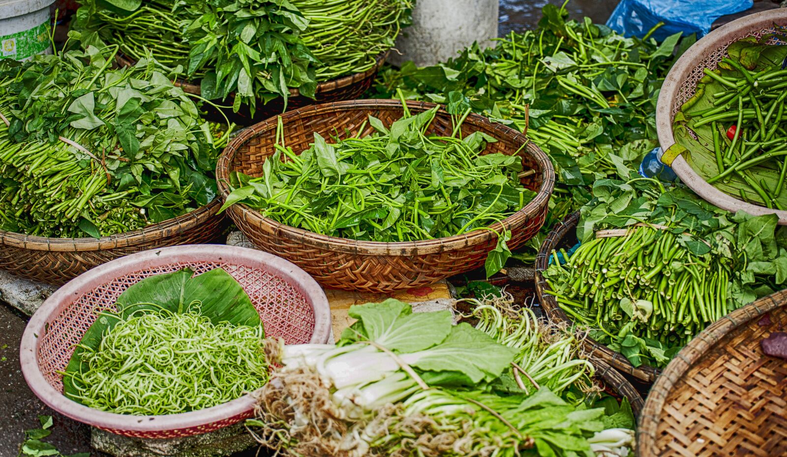 Nikon D700 sample photo. Herbs, spice, natural photography