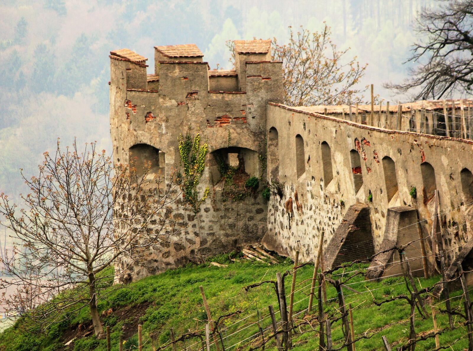 Canon EOS 550D (EOS Rebel T2i / EOS Kiss X4) sample photo. Castle, ancient times, chivalrous photography