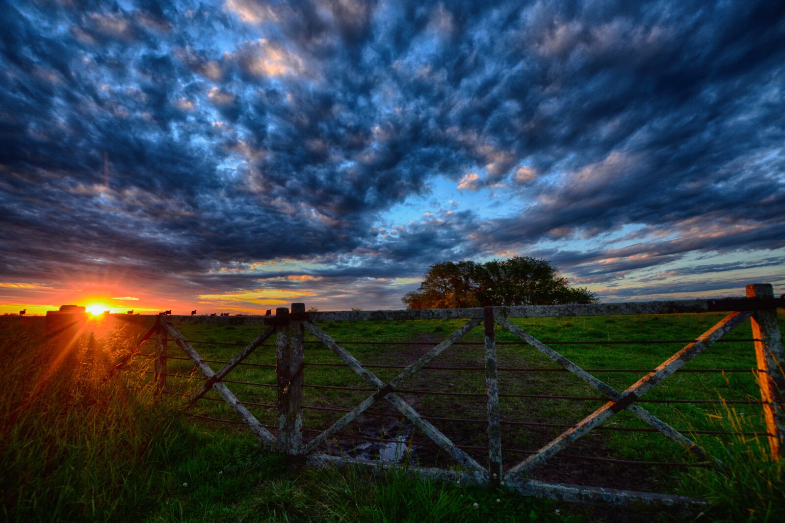 Nikon D5200 sample photo. Gate, sunset, landscape photography