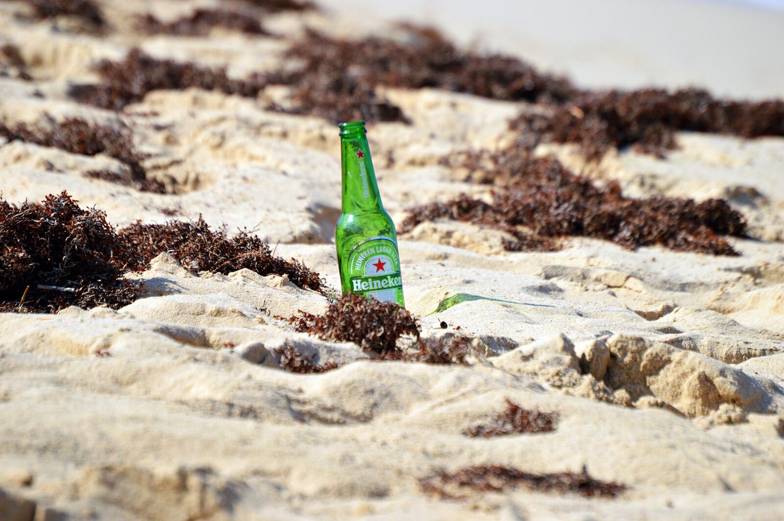 Nikon D3200 sample photo. Beer, beach, sand photography