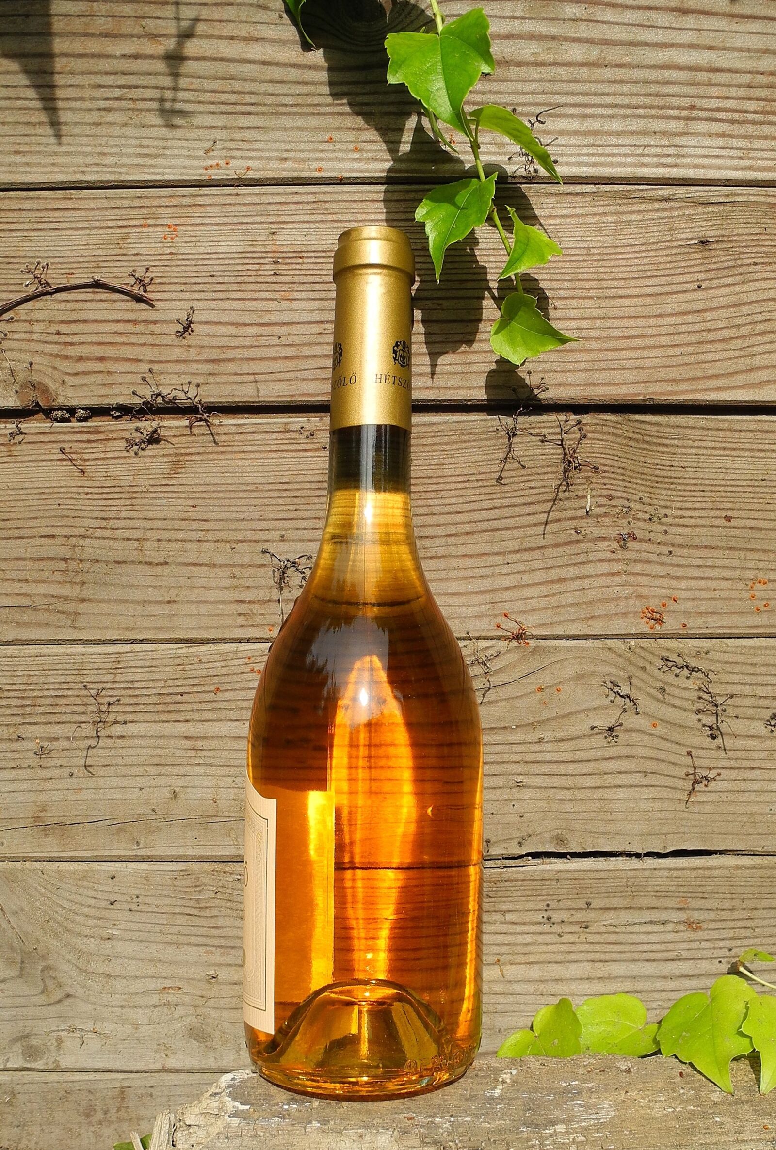 Nikon Coolpix P7000 sample photo. Wine, tokaji wine, aszú photography