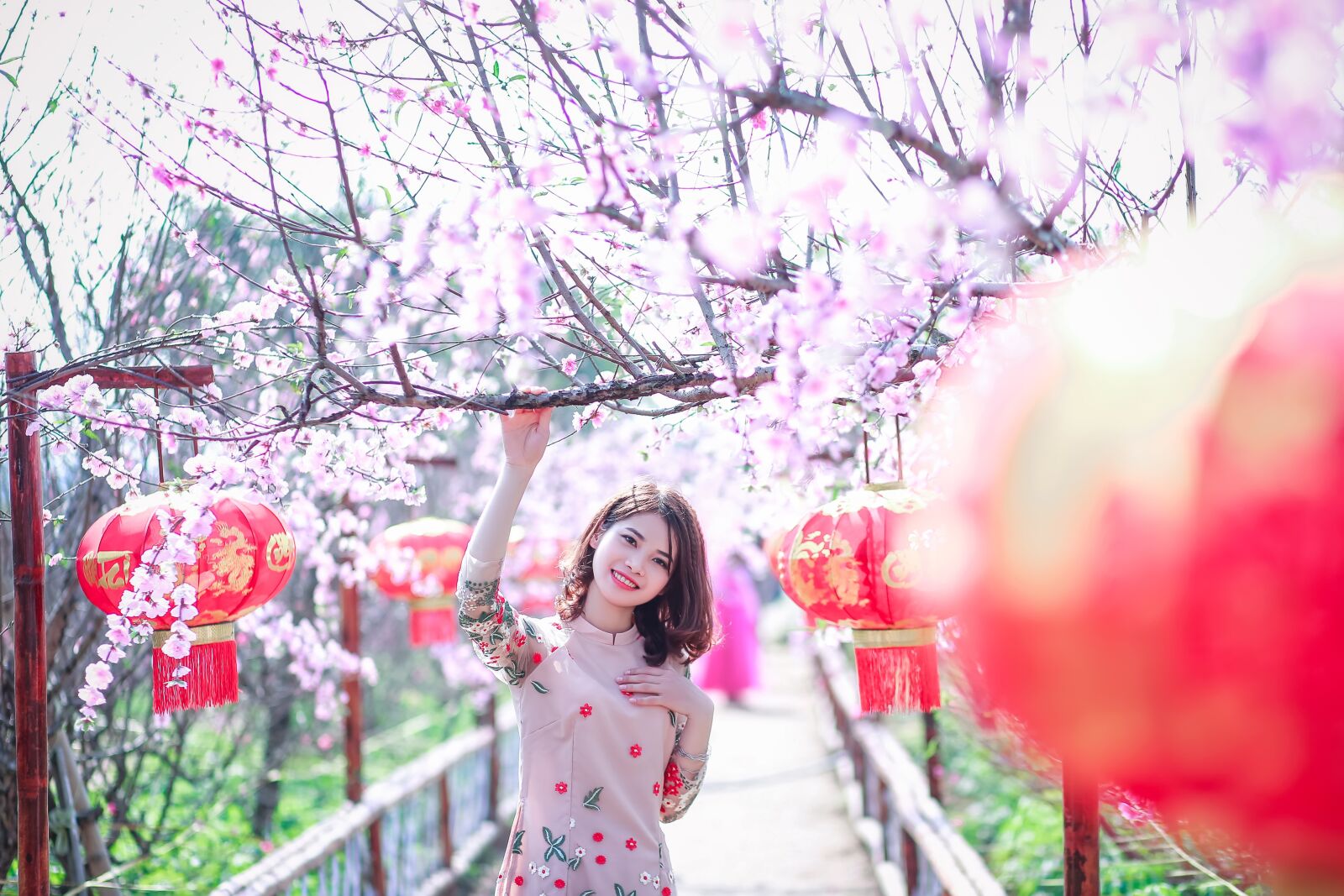 Canon EF 85mm F1.8 USM sample photo. Flower, nature, beautiful photography