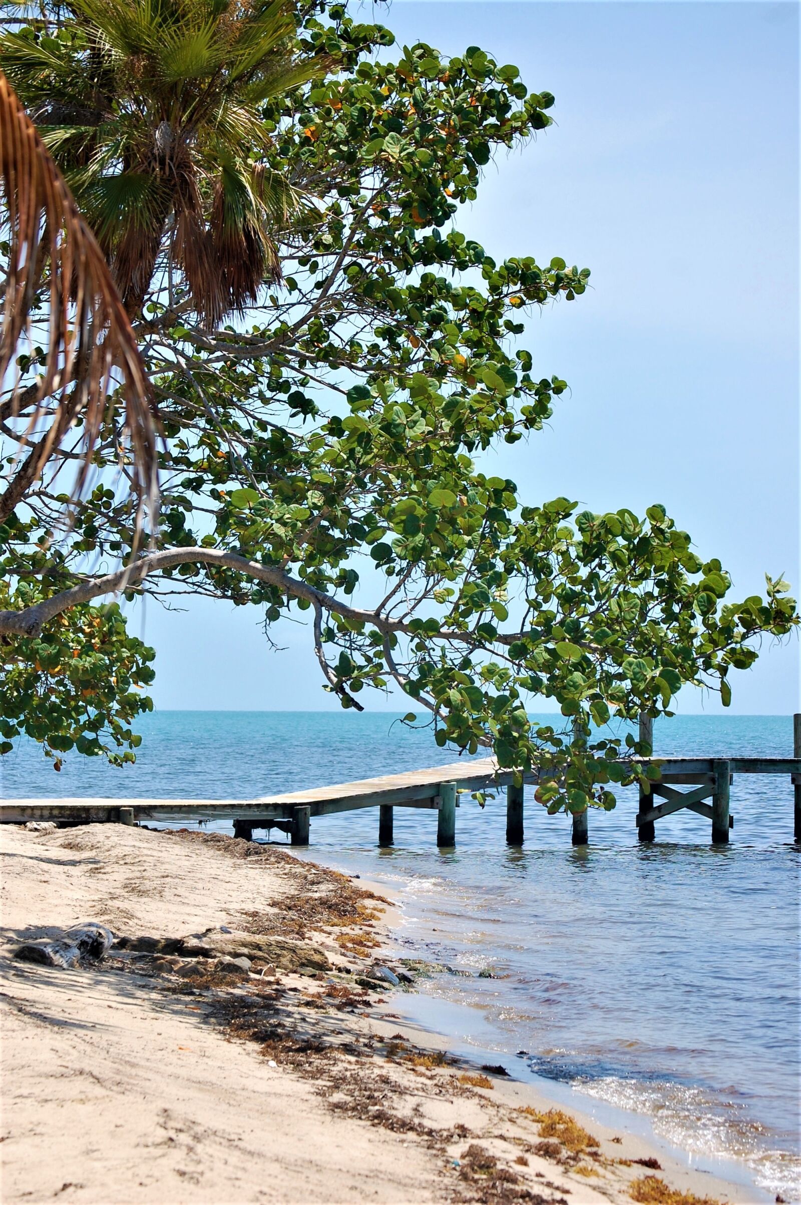 Nikon D40 sample photo. Placencia, belize, beach photography