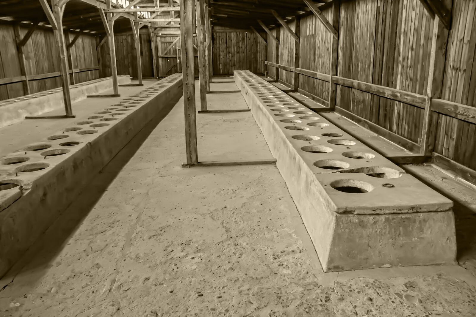Canon EOS 600D (Rebel EOS T3i / EOS Kiss X5) sample photo. Auschwitz 2, brezinka, auschwitz photography