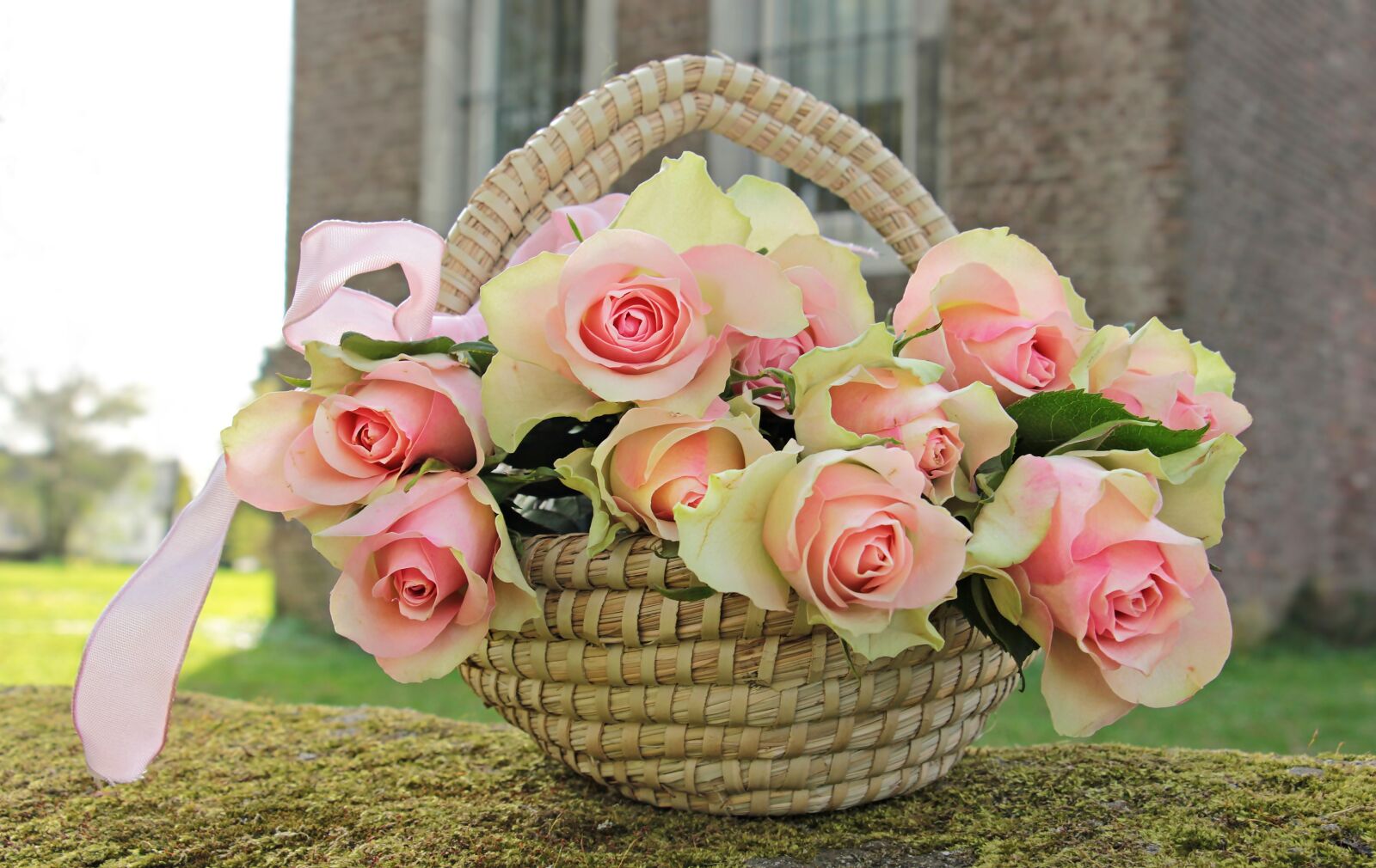 Canon EOS 550D (EOS Rebel T2i / EOS Kiss X4) sample photo. Roses, noble roses, basket photography