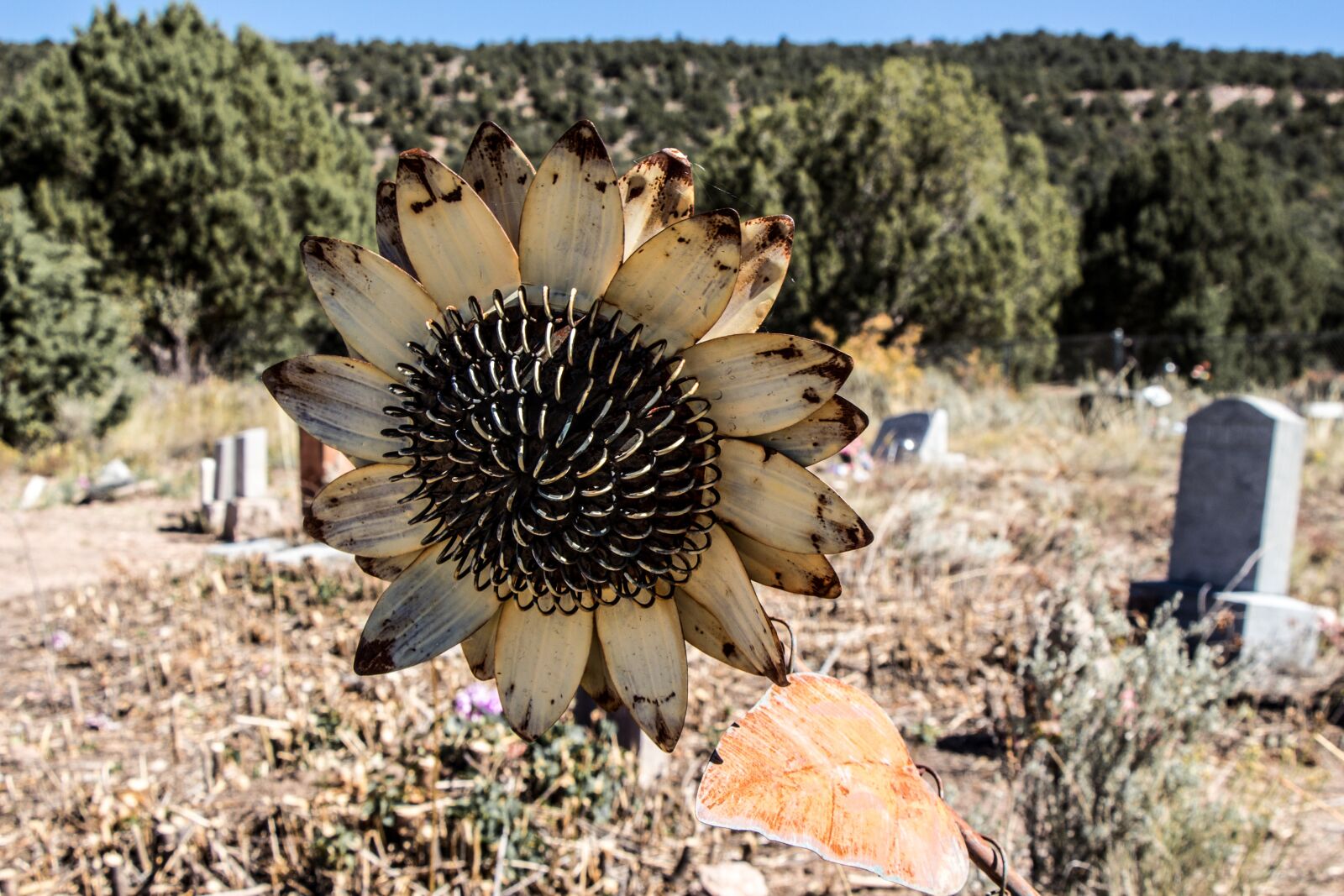 Canon EOS 700D (EOS Rebel T5i / EOS Kiss X7i) sample photo. Cemetery, sunflower, metal photography