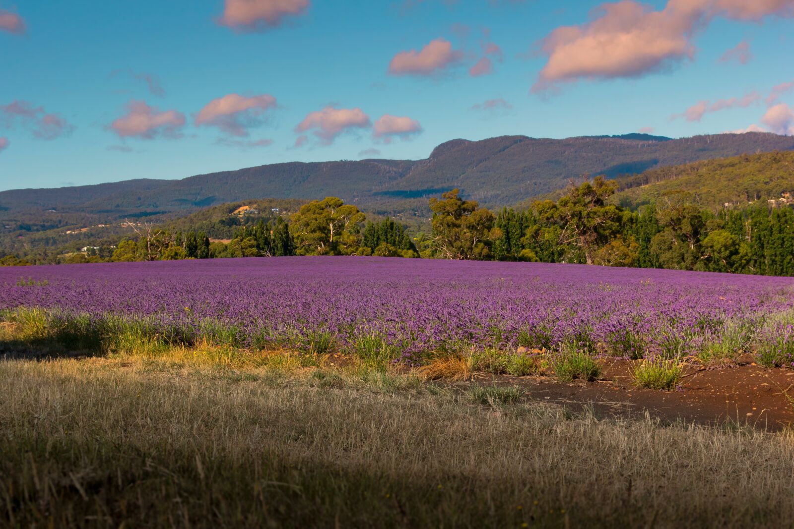 Canon EOS 60D sample photo. Australia, tasmania, landscape photography