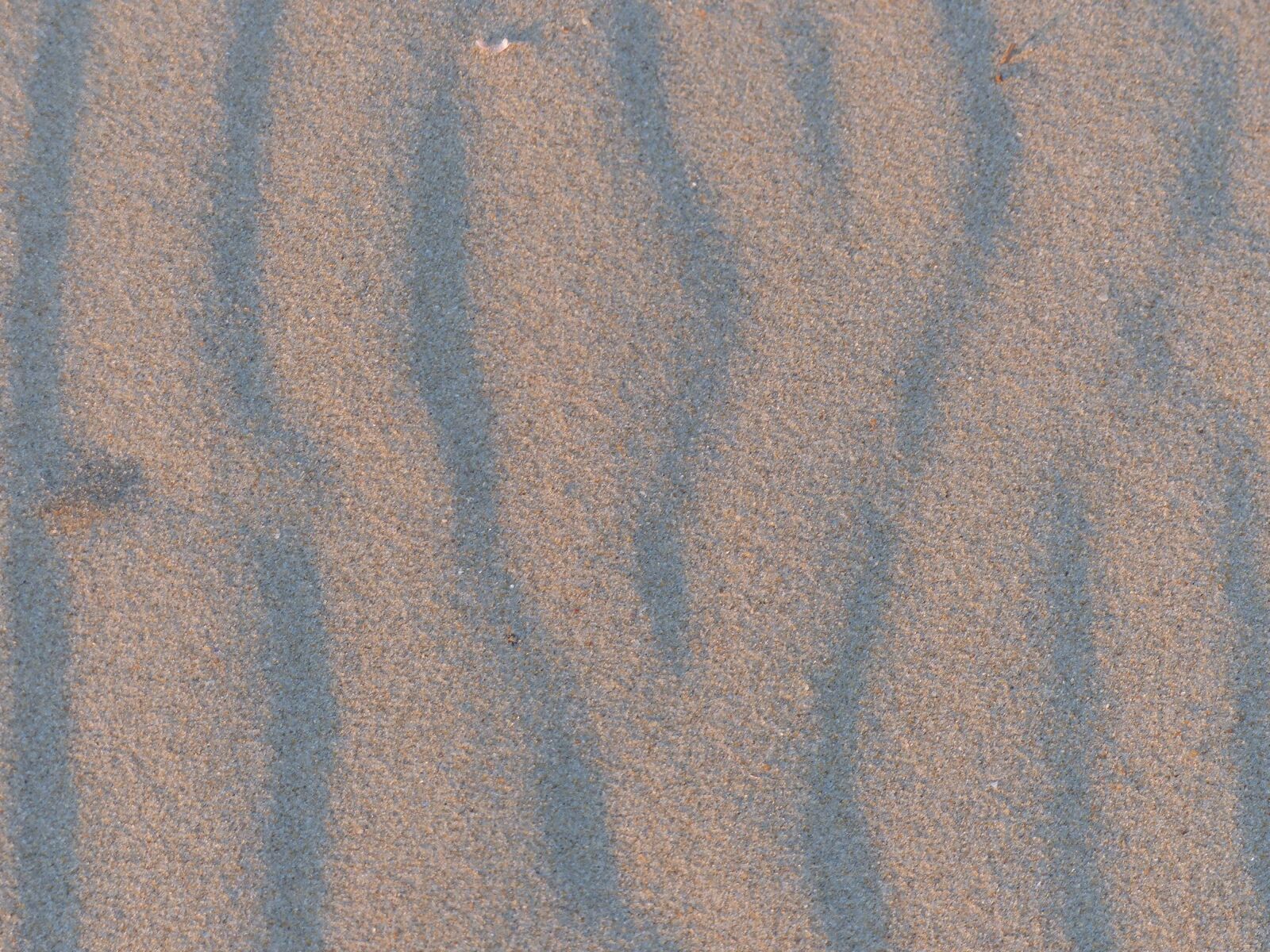 Panasonic Lumix DMC-FZ200 sample photo. Sand, beach, ocean photography