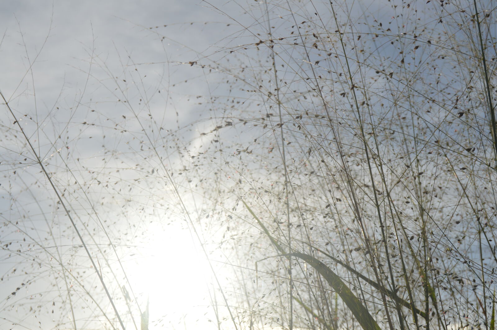 Nikon D3200 sample photo. Blue, sky, sky, sun photography