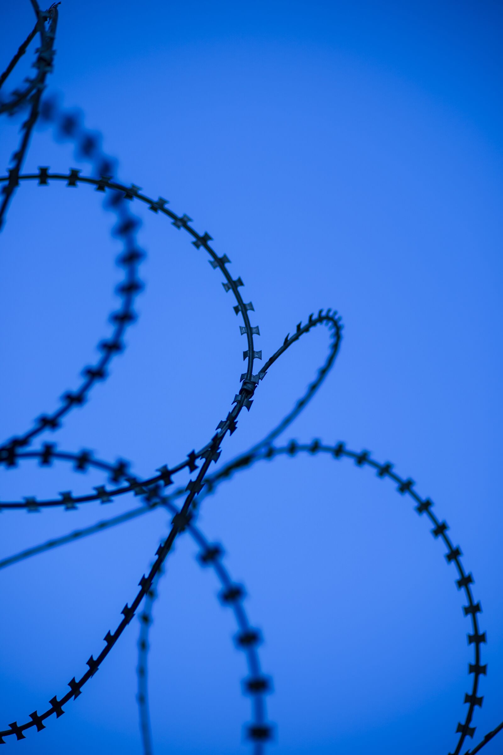 Sony Alpha DSLR-A850 + Tamron SP AF 90mm F2.8 Di Macro sample photo. Blue, wire, prison photography