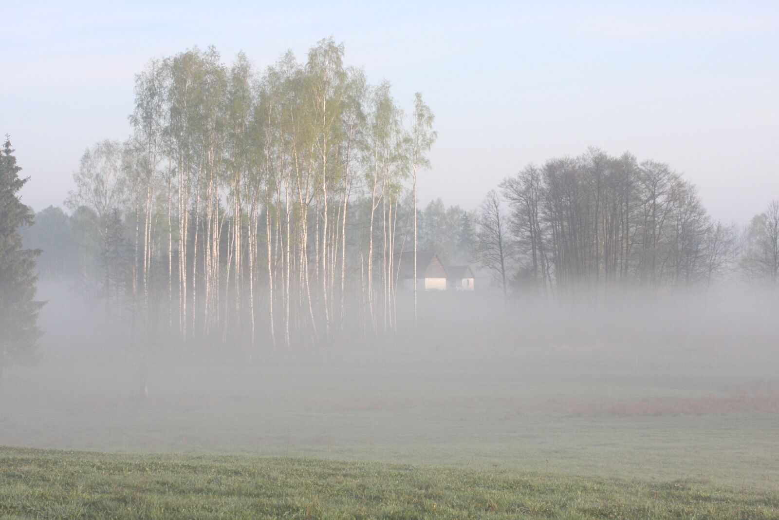Canon EOS 40D sample photo. The fog, meadow, landscape photography