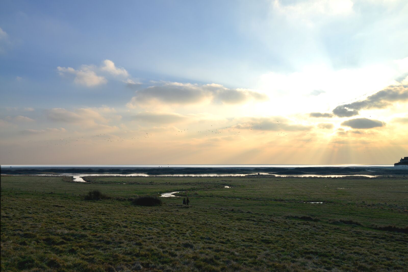 Nikon D800 sample photo. Solar, beach, landscape photography